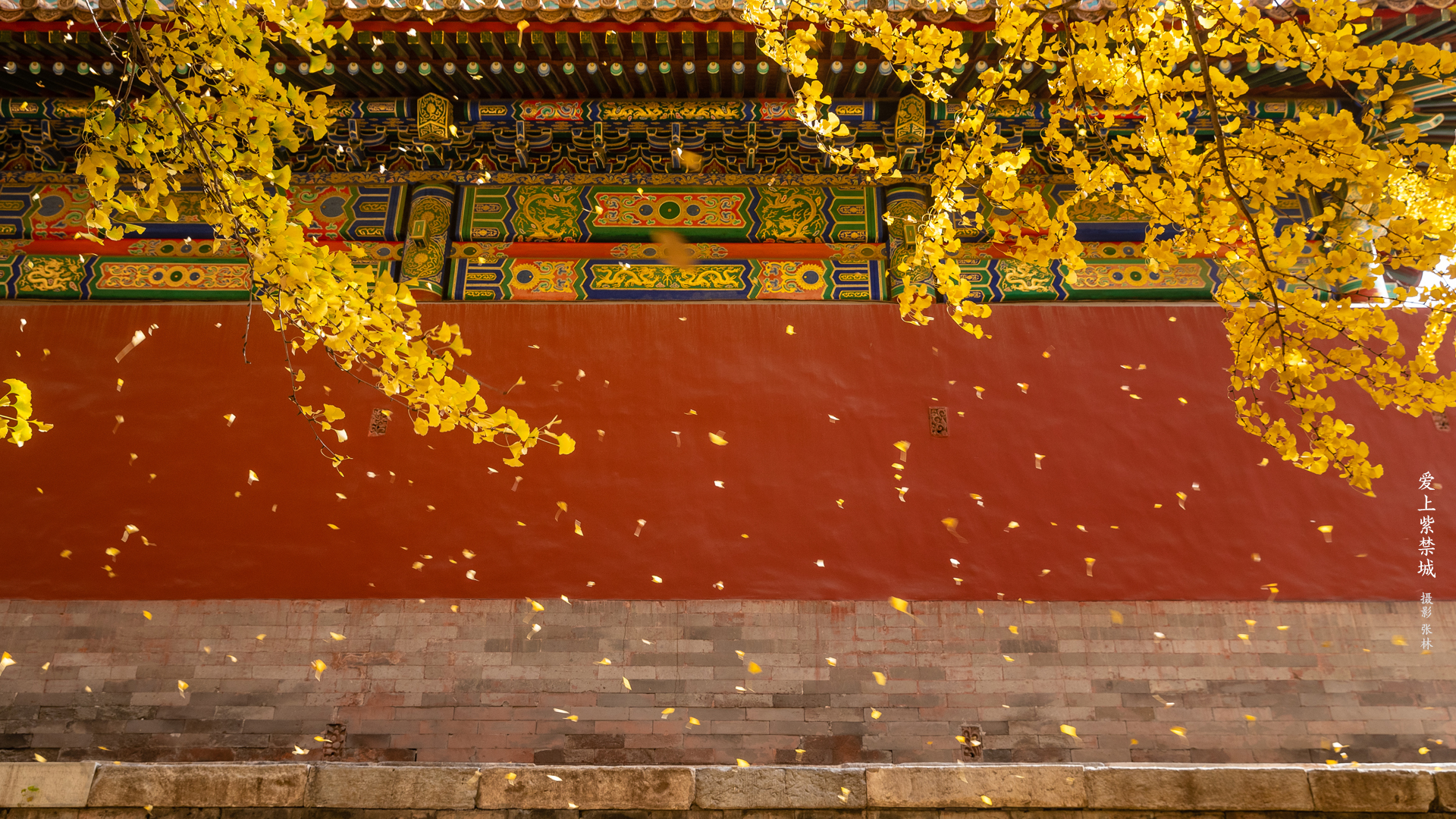 Chinese Architecture Ginko The Imperial Palace Architecture 1920x1080