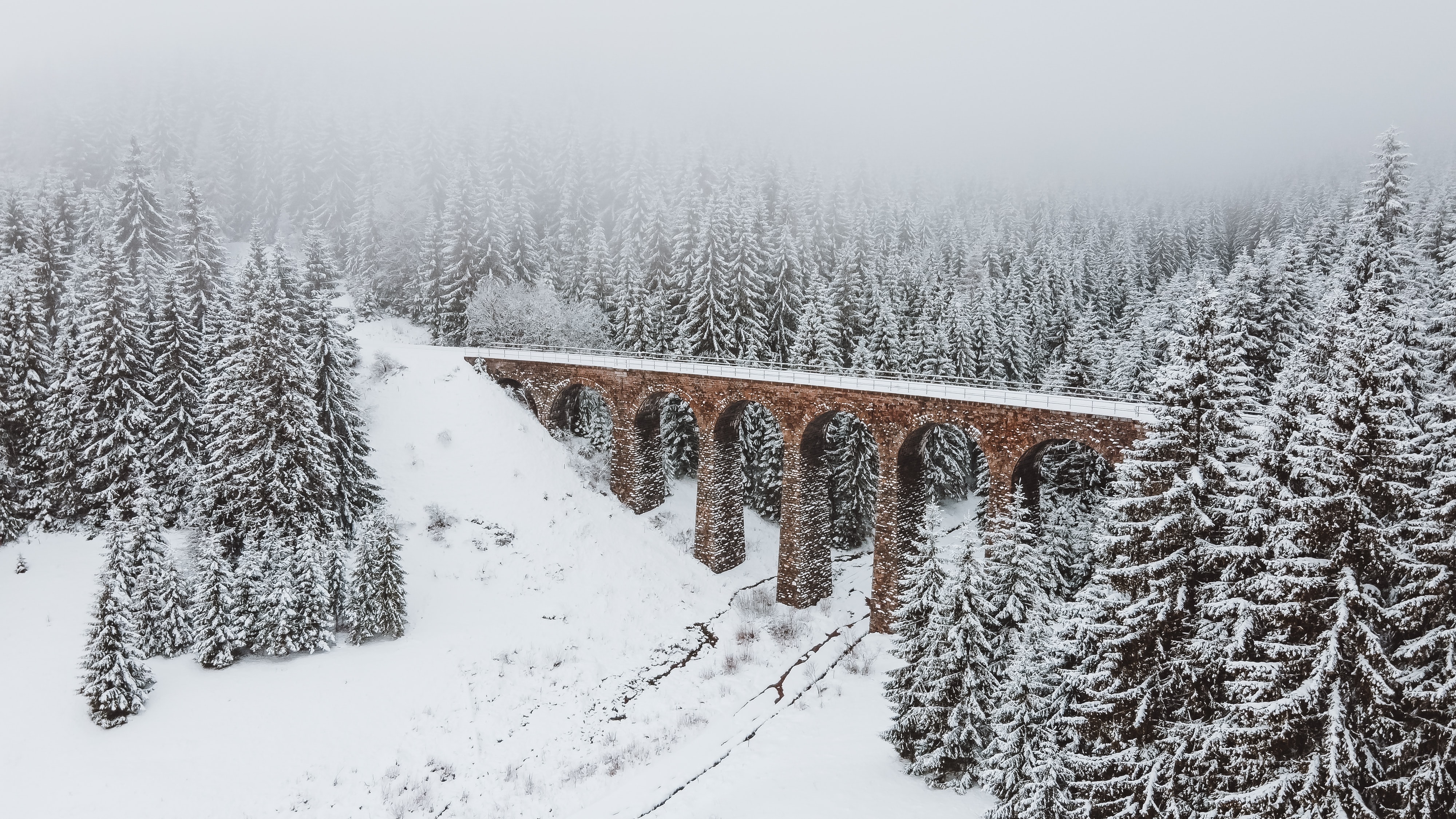 Bridge Snow Forest Viaduct 4000x2250