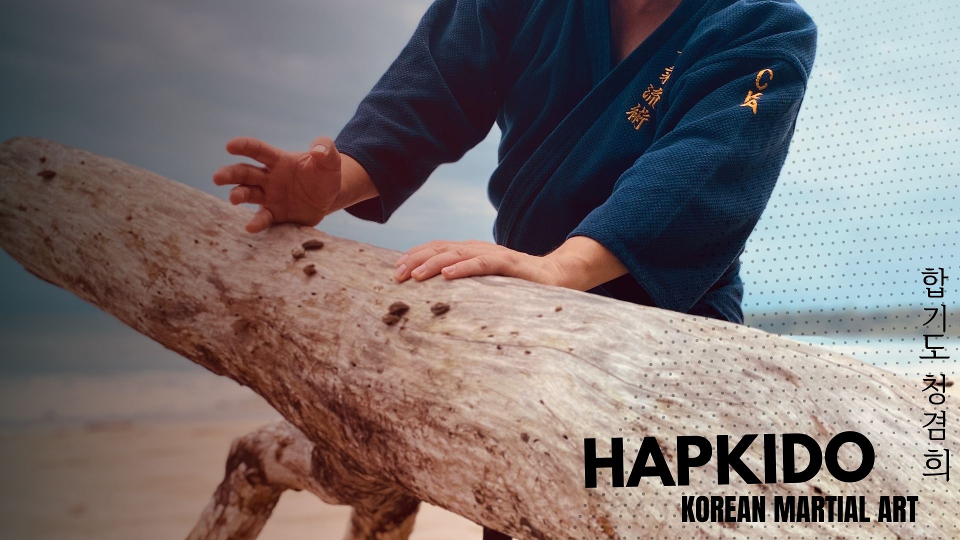 Hapkido Korean Martial Arts 1920x1080