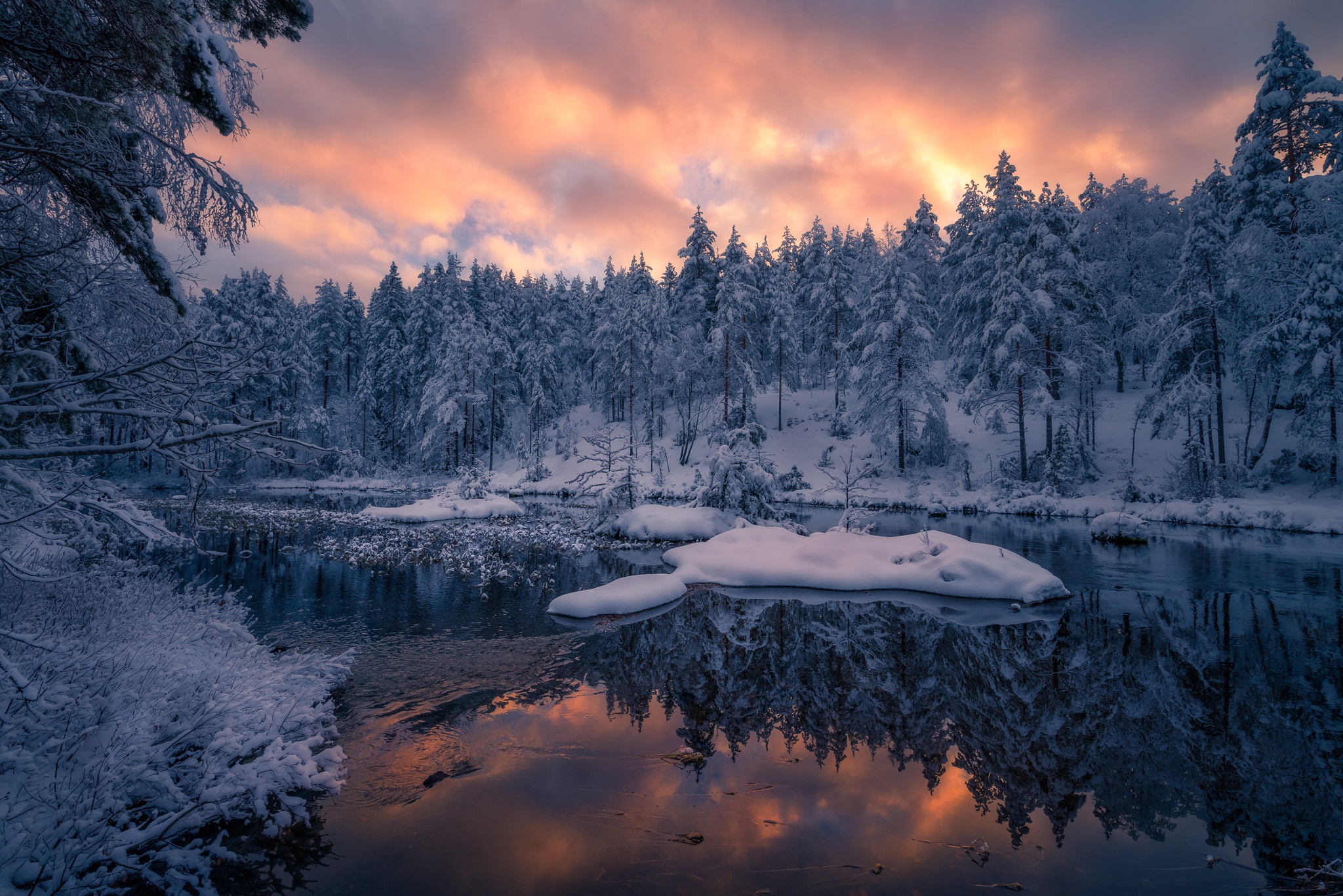 Nature Reflection Snow Forest River 2048x1367