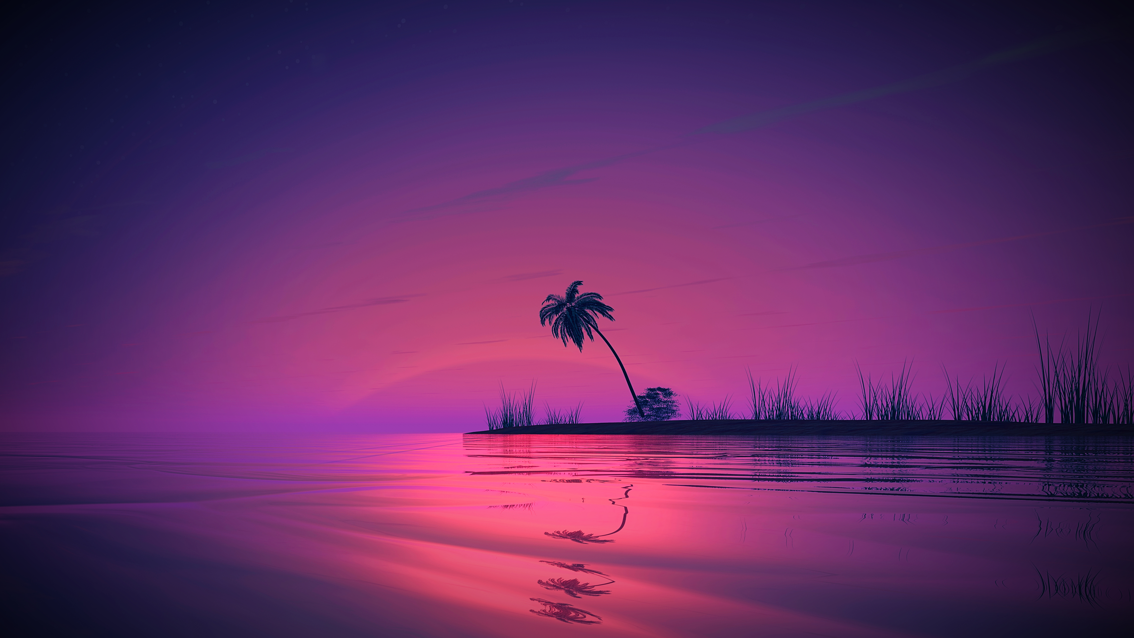 Palm Trees Sunset Reflection 3840x2160
