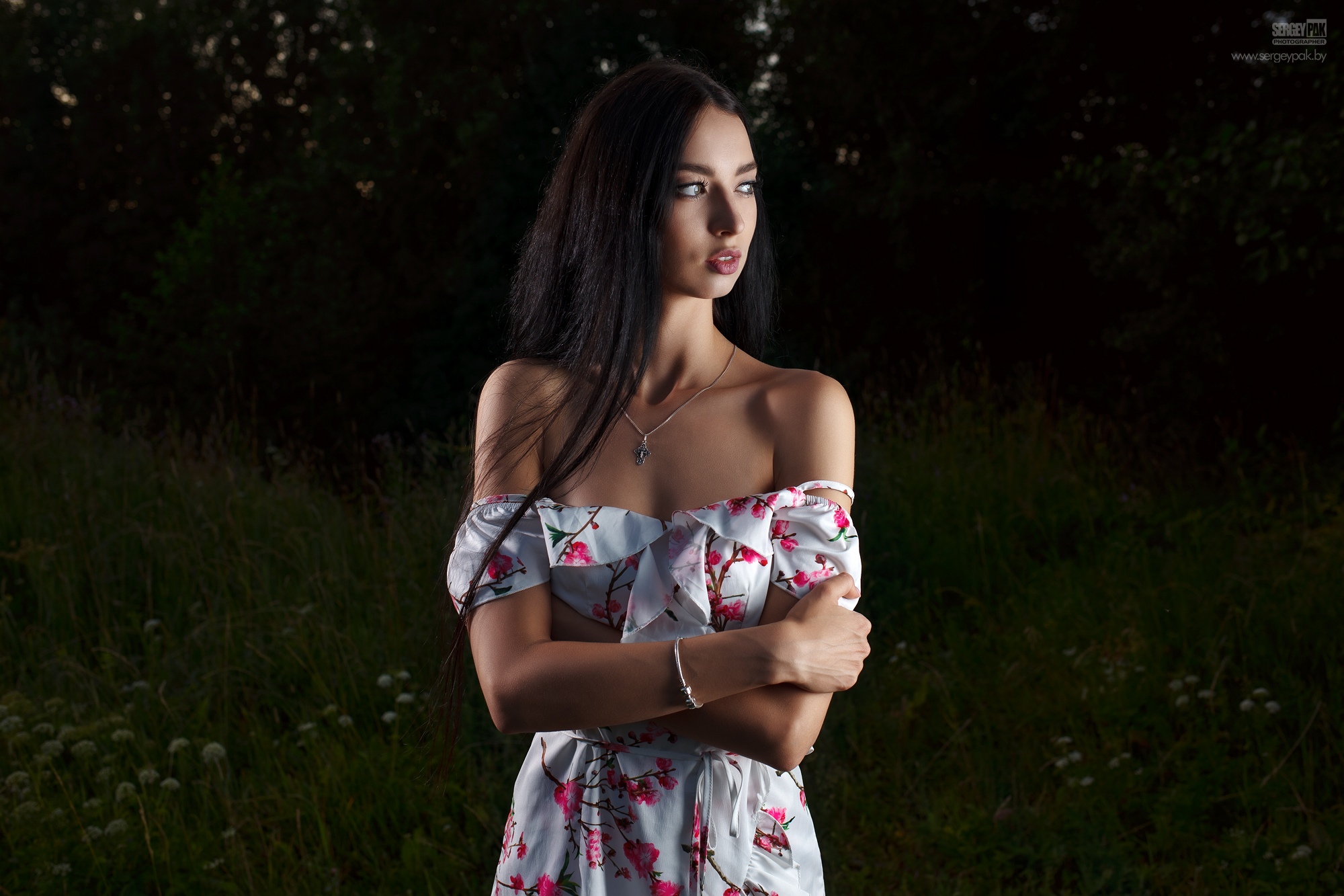 Sergey Pak Women Model Brunette Women Outdoors Dress Trees Grass Looking Away Long Hair Arms Crossed 2000x1333