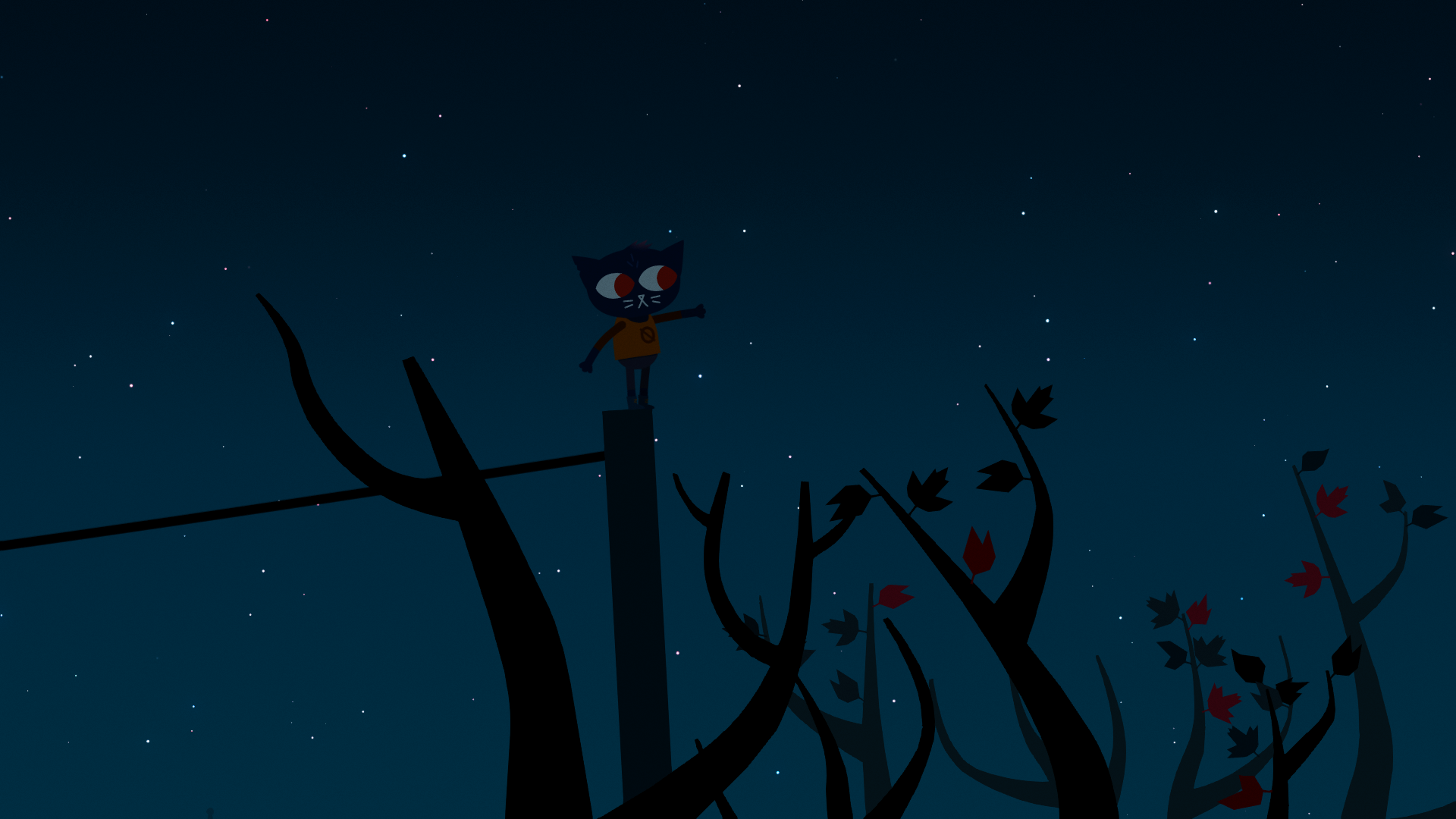 Night In The Woods Night Nature Branch Leaves Stars 1920x1080