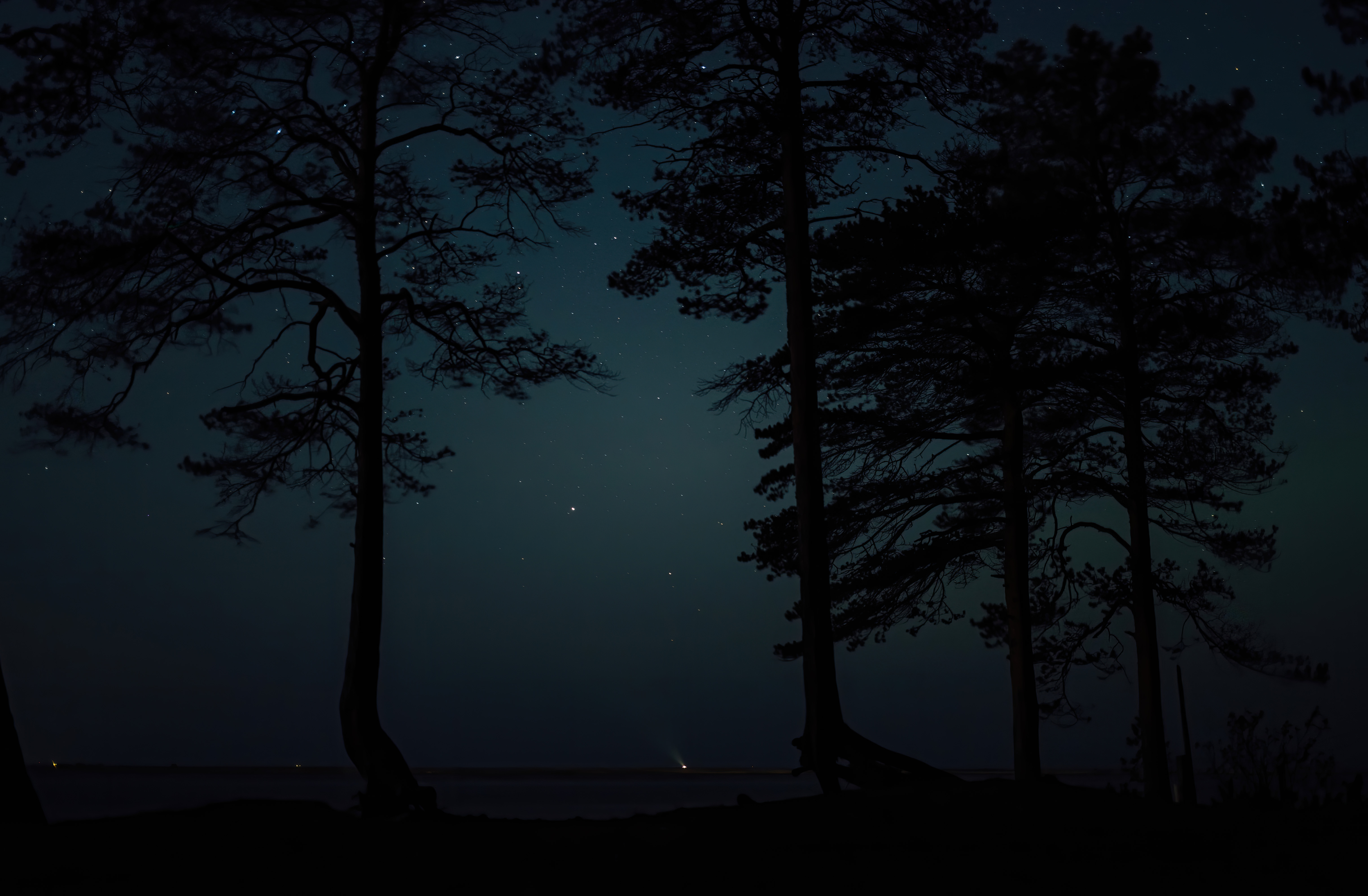 Night Dusk Trees Dark Stars Gloomy Landscape Nature 6097x3994