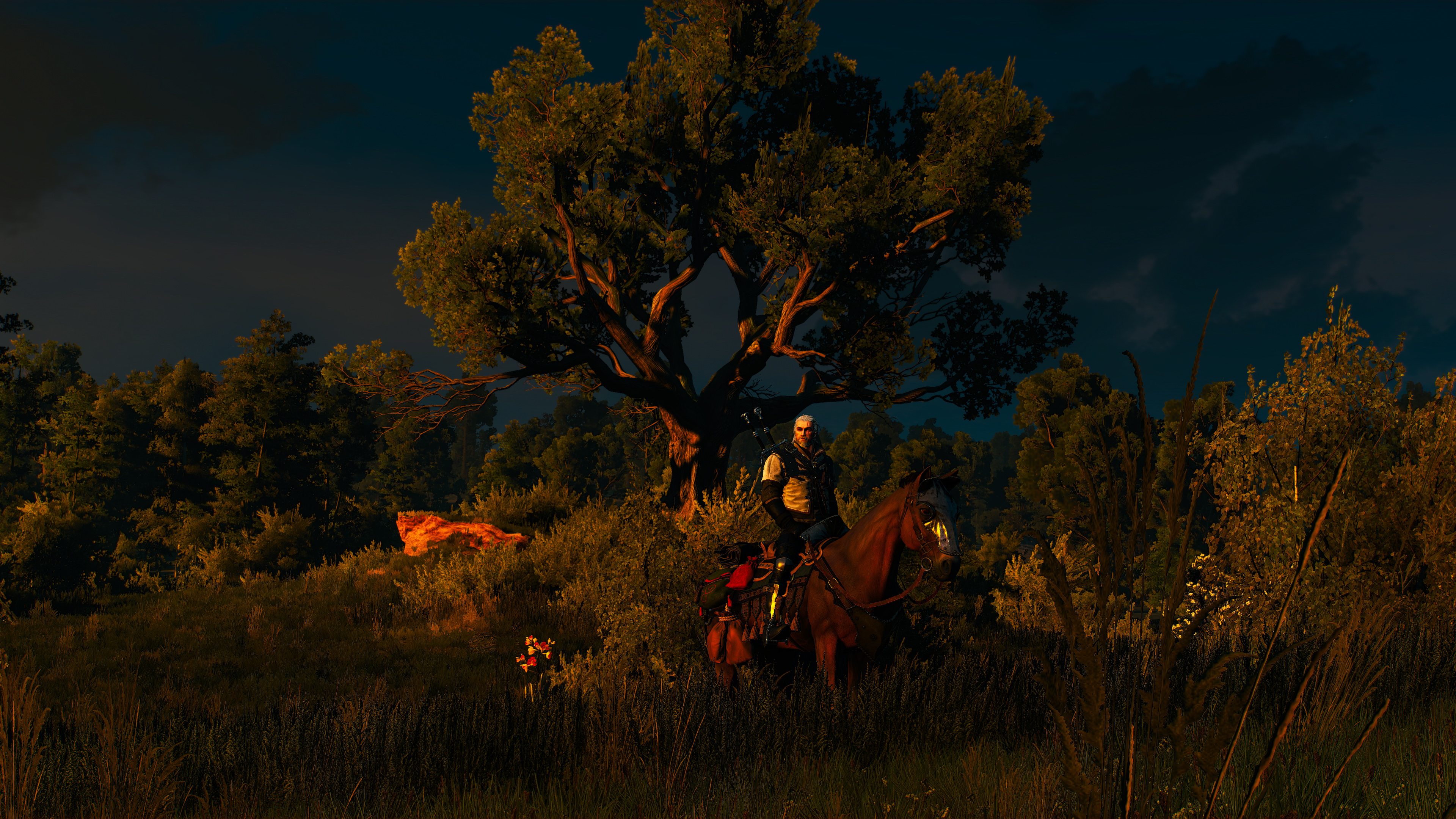 The Witcher 3 Wild Hunt The Witcher Geralt Of Rivia Ard Skellige Velen 3840x2160