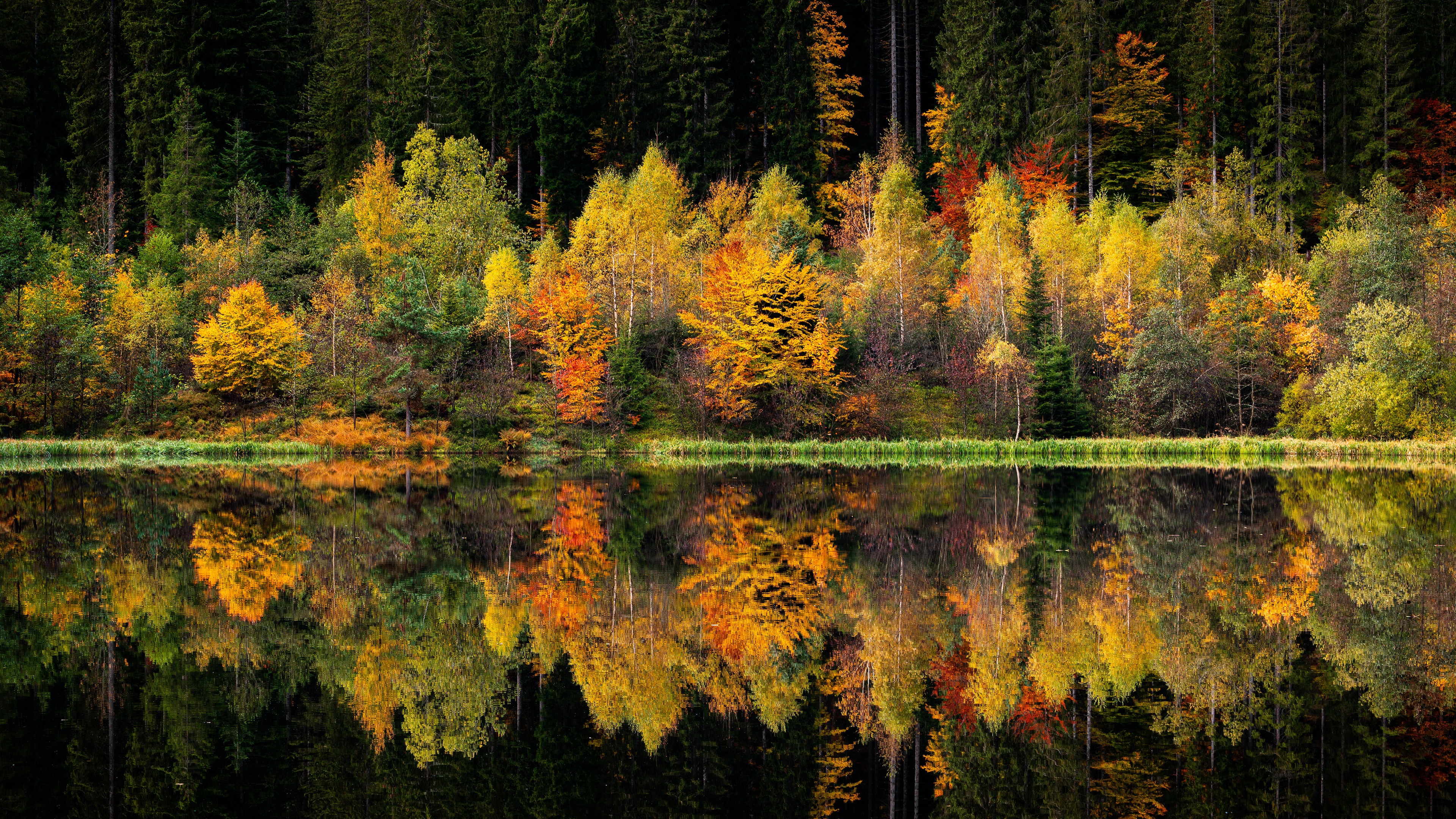 Fall Nature Water Calm Calm Waters Outdoors Trees 3840x2160