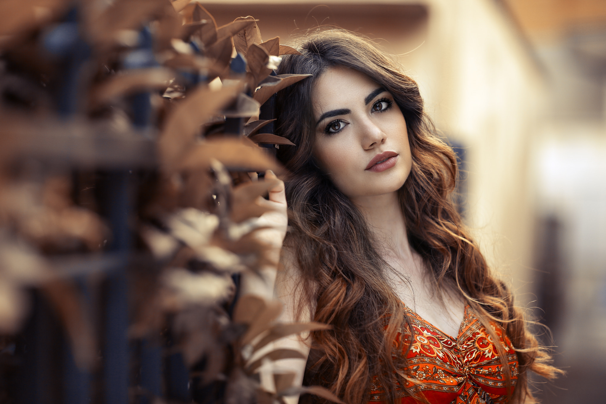 Alessandro Di Cicco Women Sweet Ary Brunette Long Hair Wavy Hair Looking At Viewer Depth Of Field Le 2048x1365