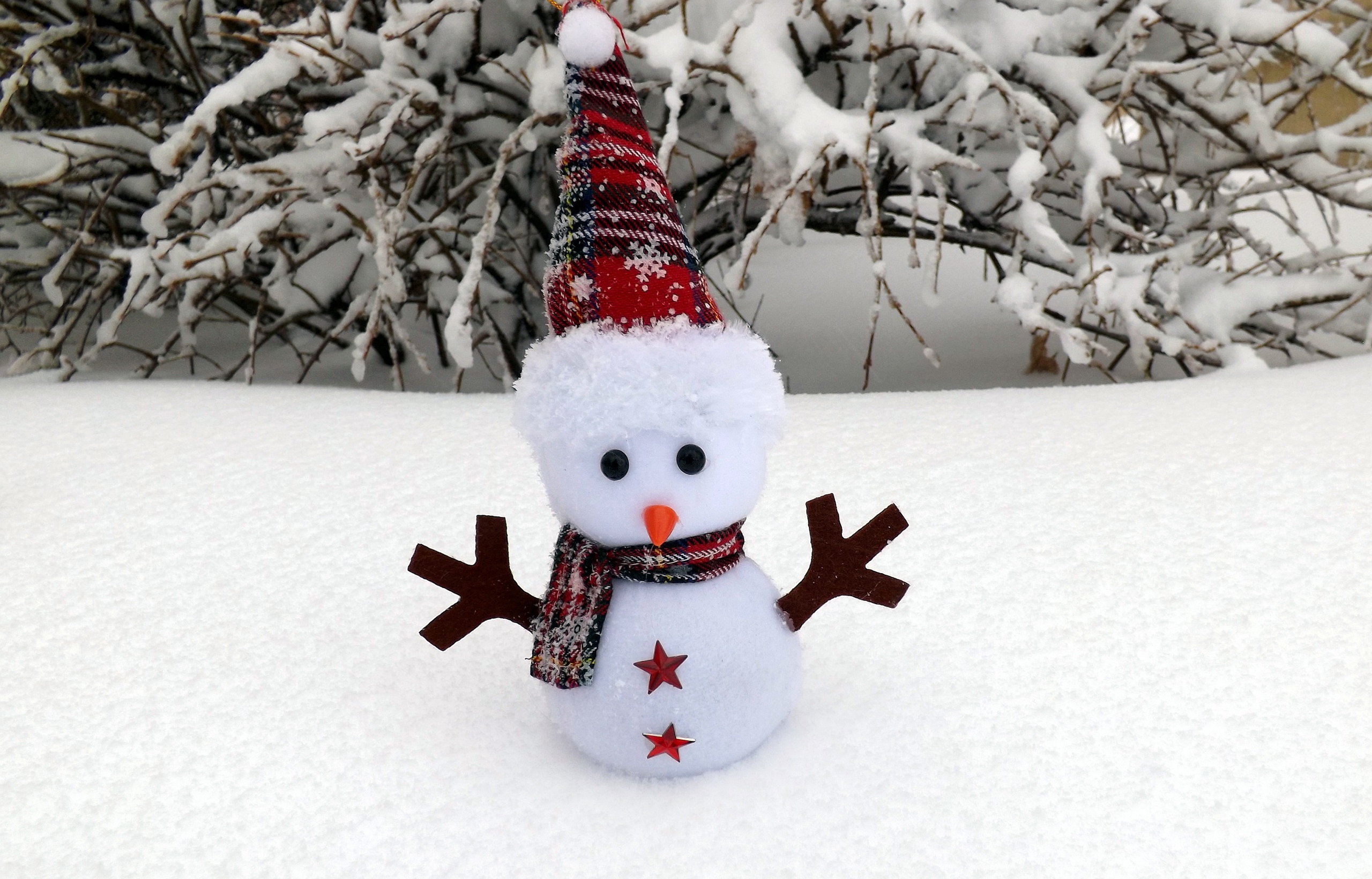 Winter Snow Toy Christmas 2560x1641