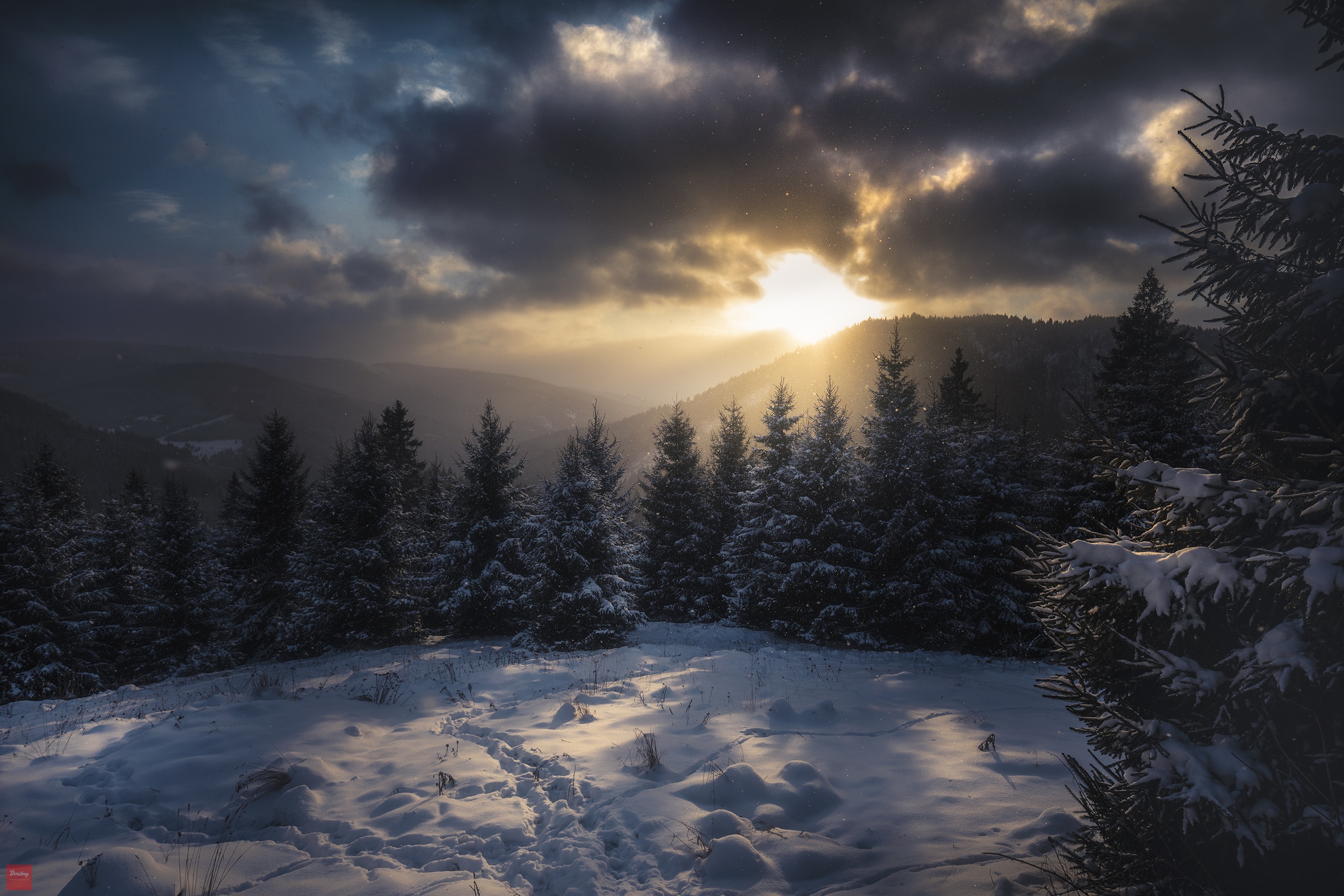 Carpathian Mountains Cloud Mountain Nature Snow Spruce Sunlight 2560x1707