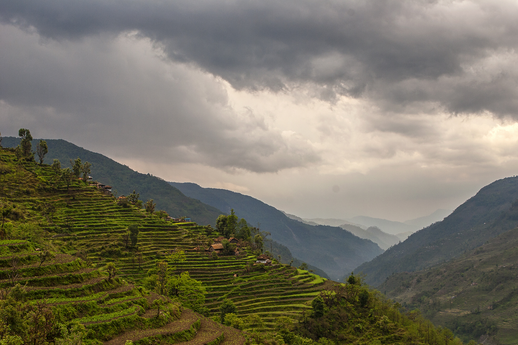 Nepal Annapurna Rice Terrace Landscape Farming 1961x1307
