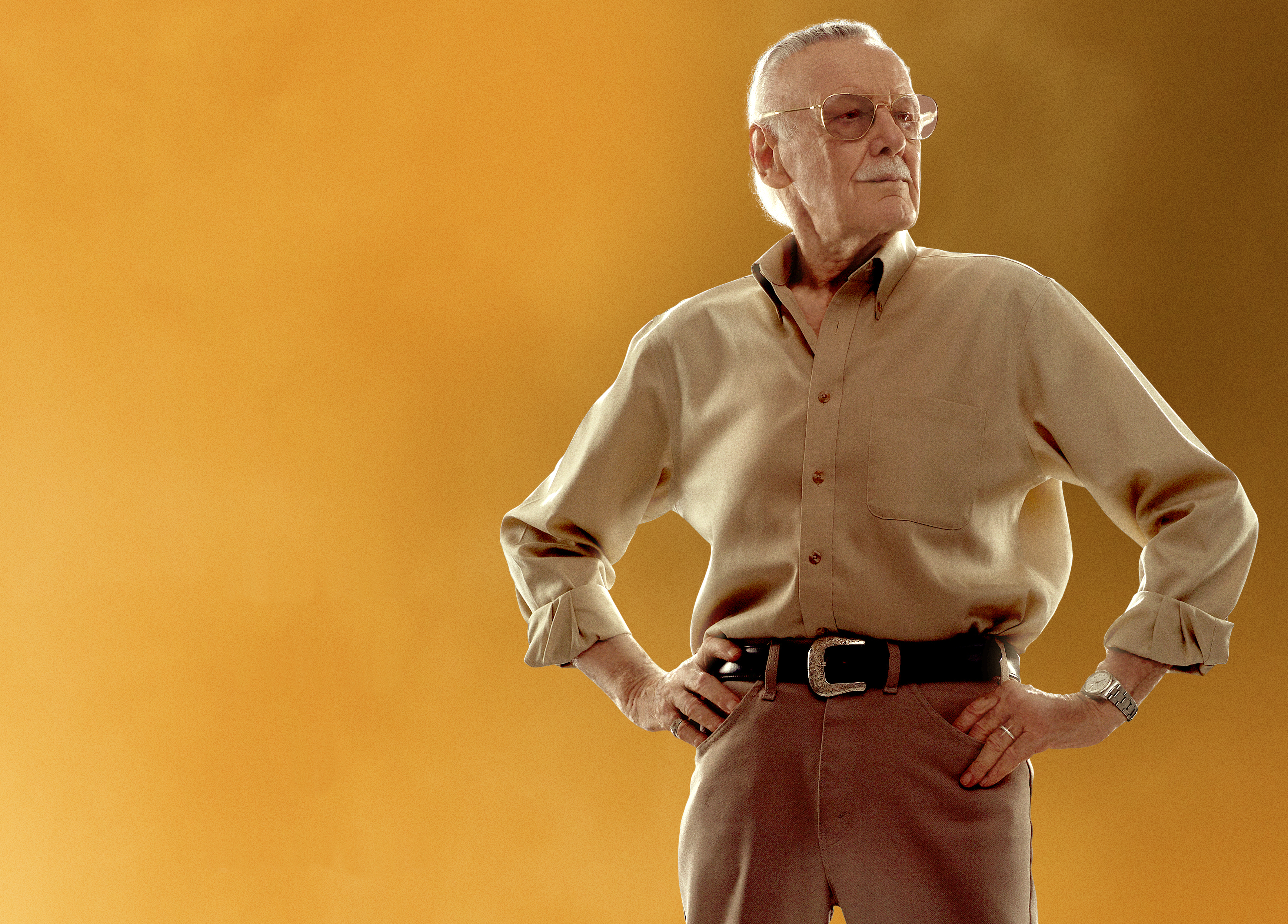 Celebrity Stan Lee 3477x2496