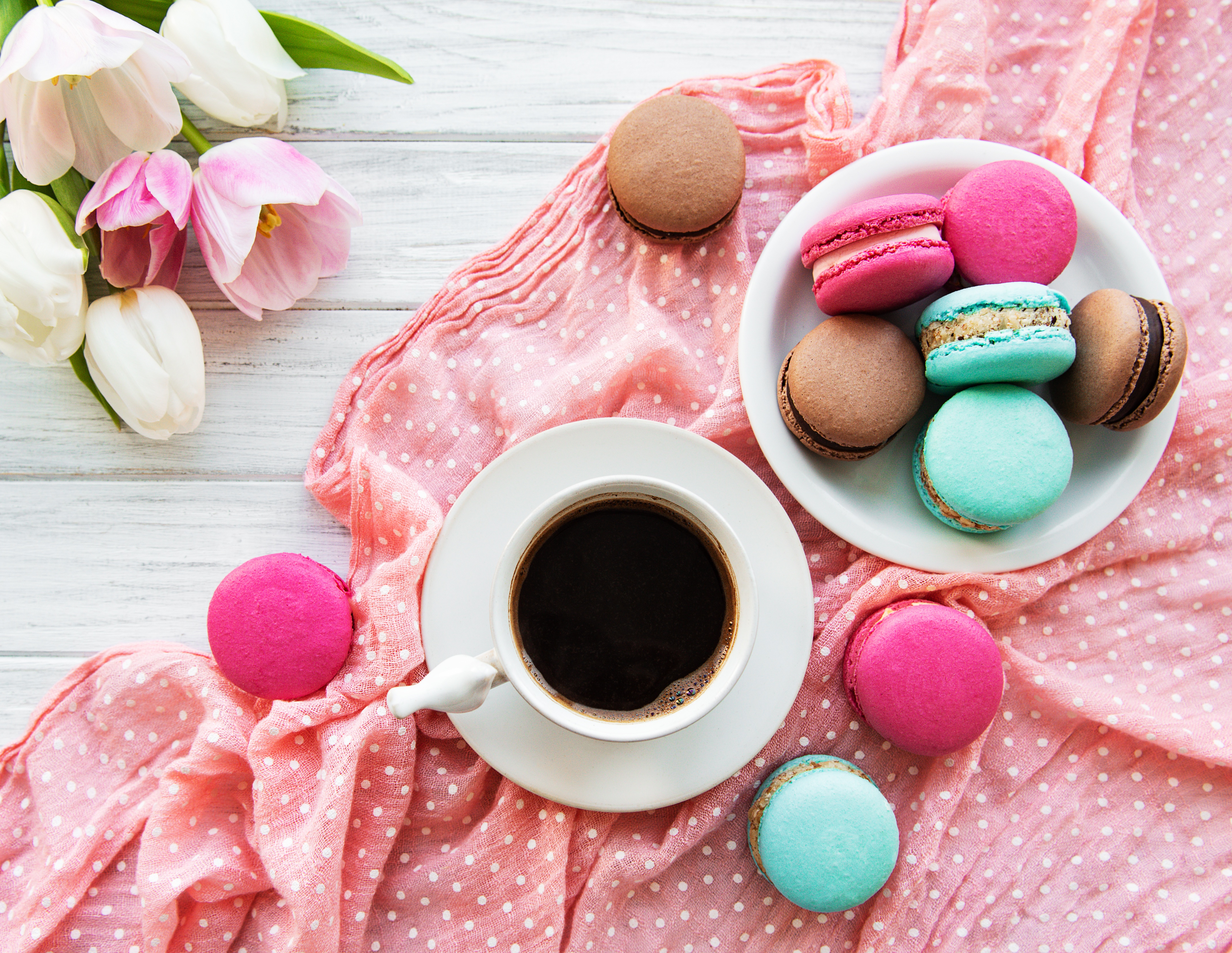 Cup Macaron Sweets Still Life 4277x3309