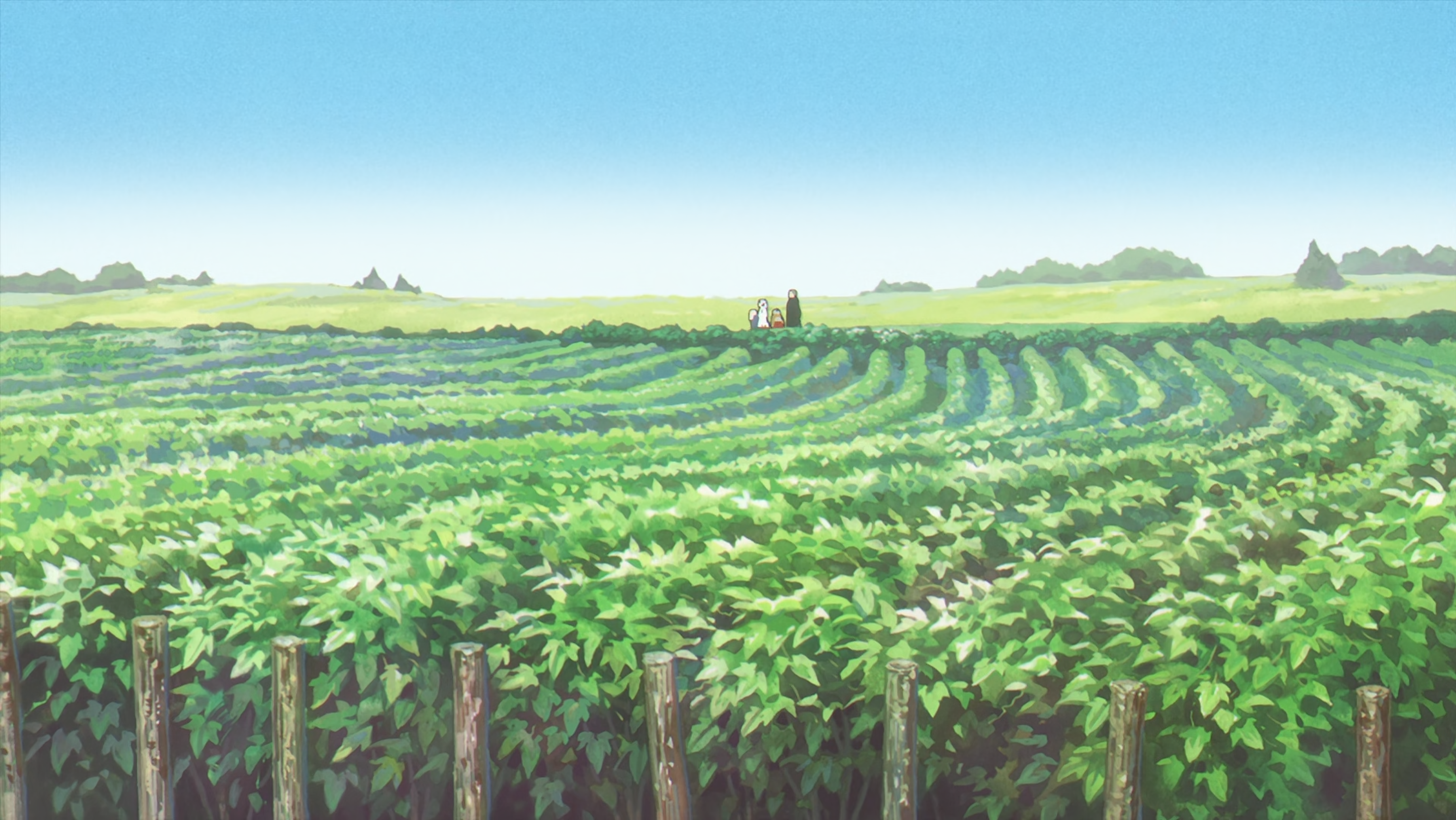 Sousou No Frieren Anime Anime Screenshot Field Leaves Sky Green 3070x1728
