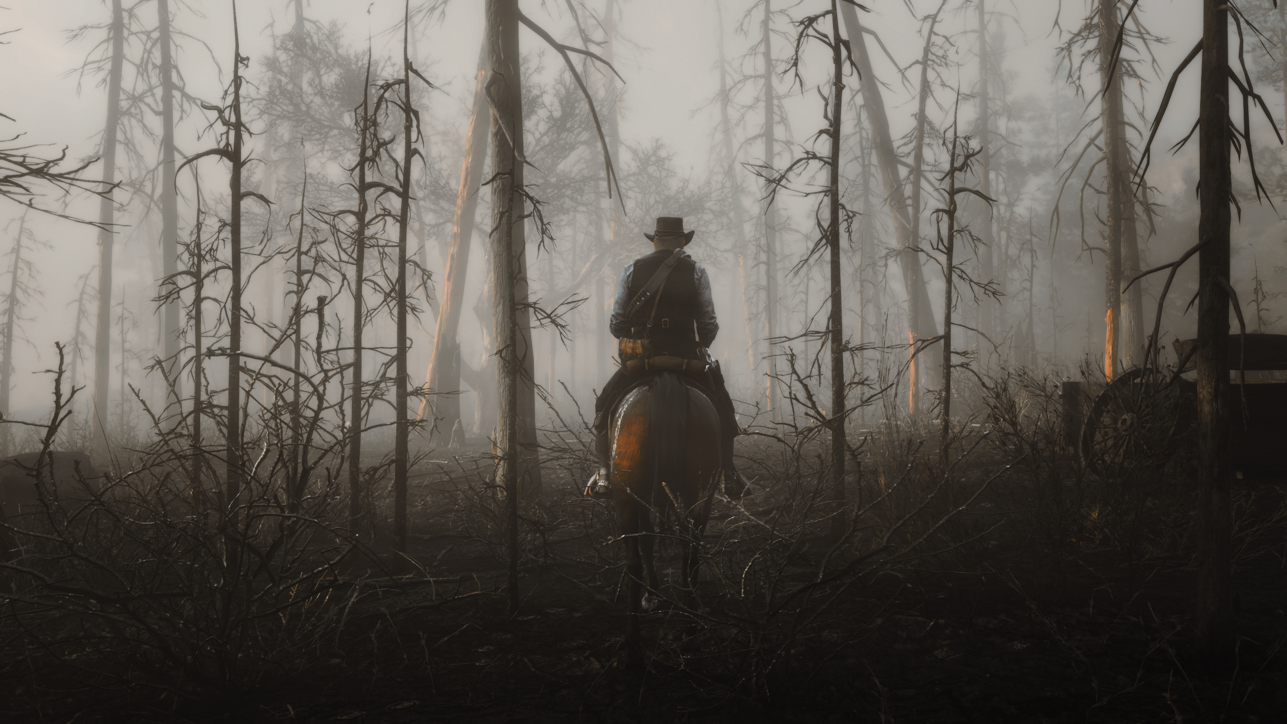 Game Photography Red Dead Redemption 2 Rockstar Games Horse Animals Cowboy PC Gaming Dead Trees Vide 2560x1440