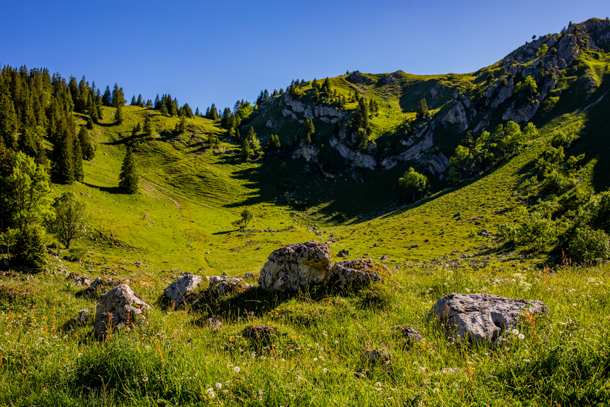 Photography Outdoors Nature Mountains Trees Rocks Forest Greenery Grass Field Cliff 2048x1365