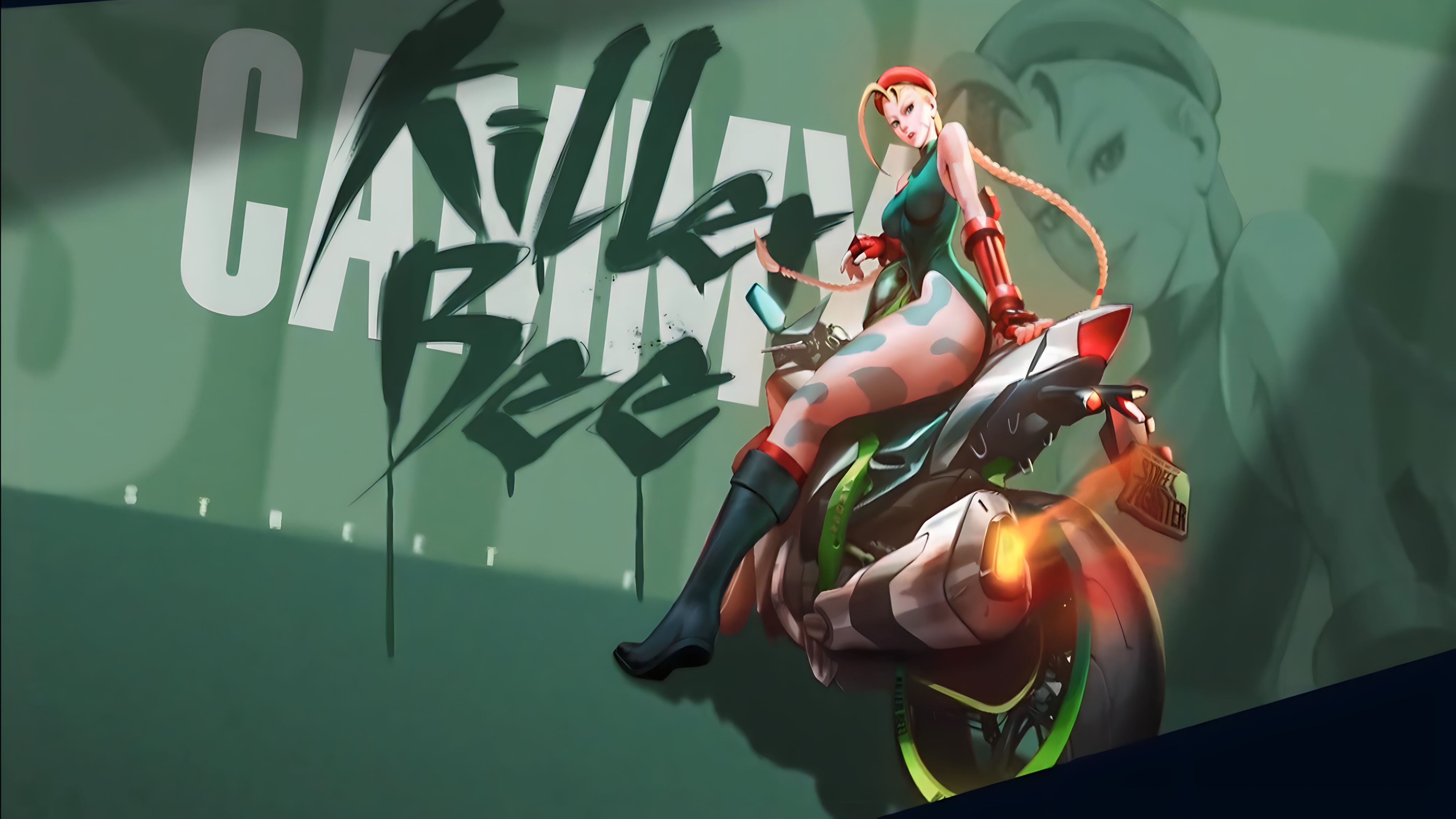 Street Fighter Video Games Fighting Games Motorcycle 4733x2662