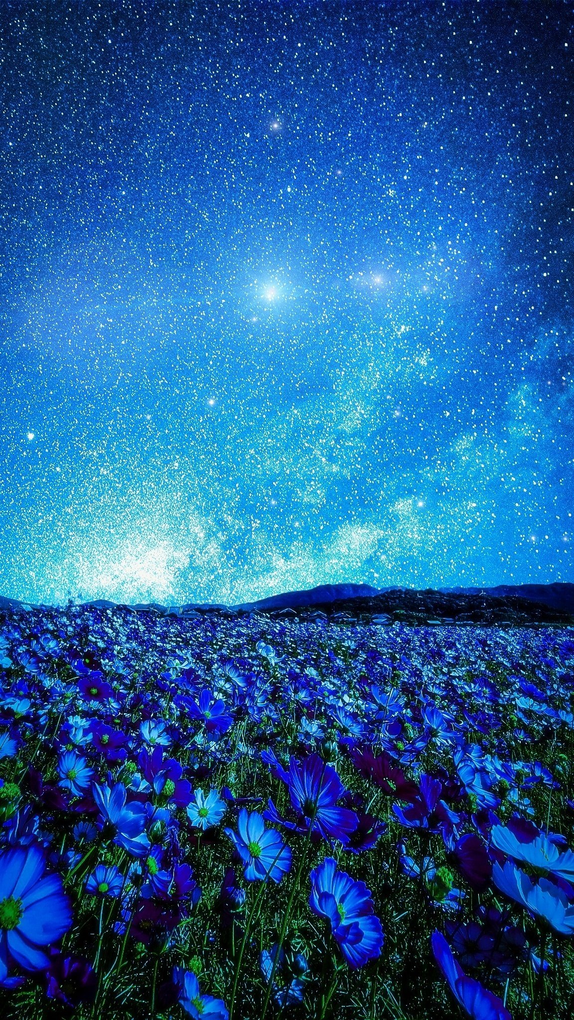 Kuroneko No Pei Night Moonlight Stars Flowers Plains Portrait Display Landscape 1152x2048
