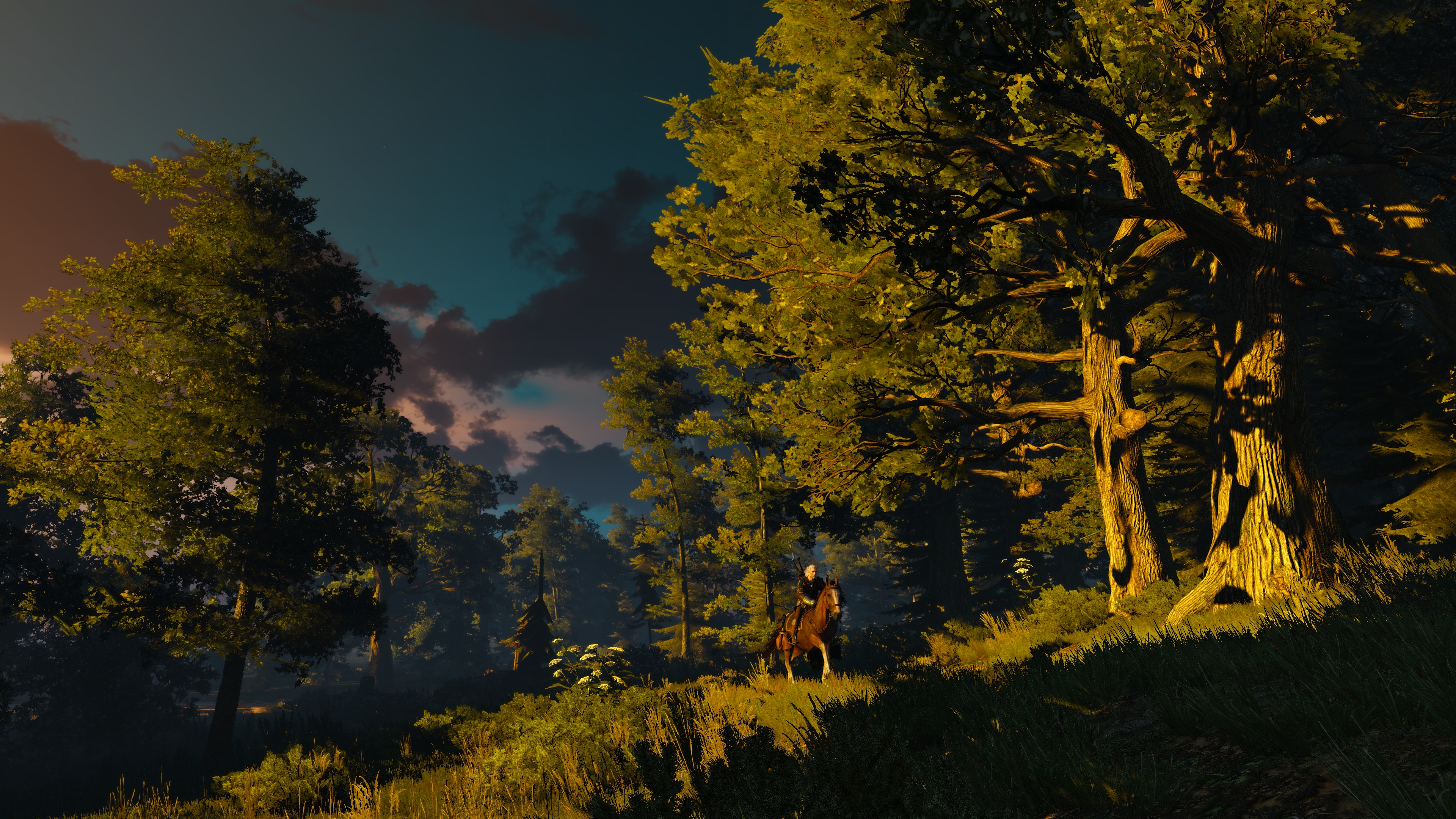 The Witcher 3 Wild Hunt PC Gaming Screen Shot Forest Evening Geralt Of Rivia 3840x2160