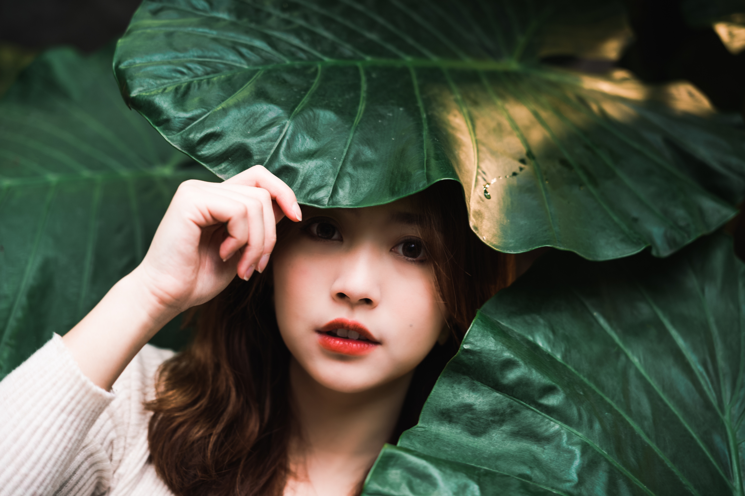 Women Model Asian Portrait Linnnng Leaves Plants Face Women Outdoors 2560x1707