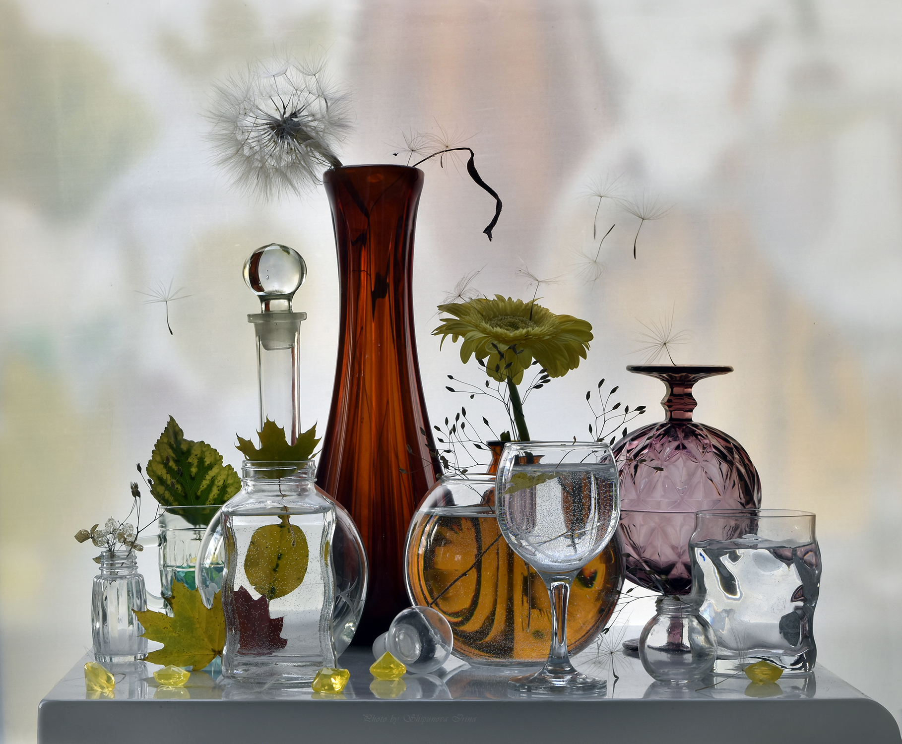 Irina Shipunova Still Life Plants Glass Leaves Dandelion Flowers Petals Water 1818x1500