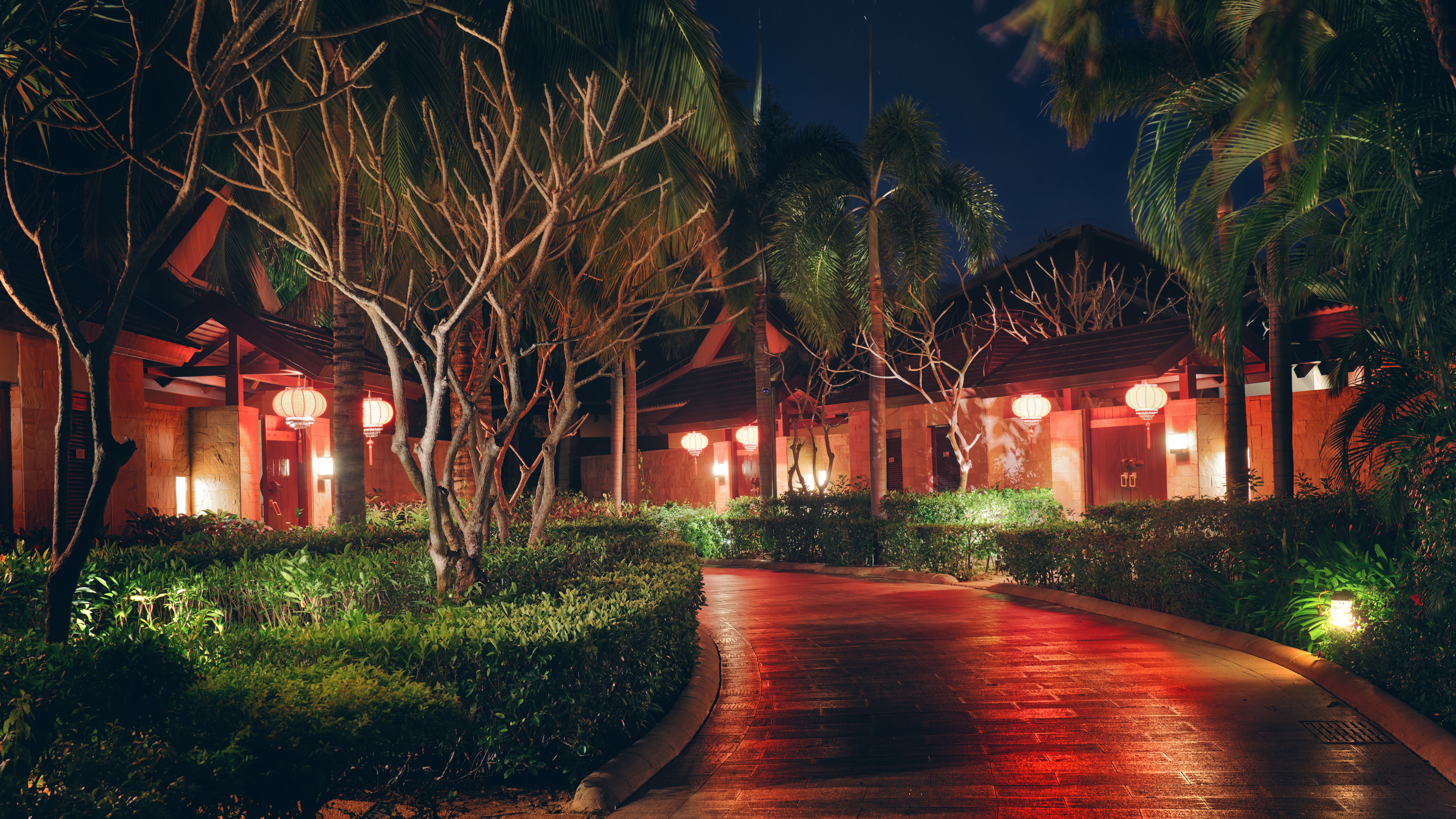 Trey Ratcliff Photography China Garden Trees Palm Trees House Night Lights Path Sanya 3840x2160