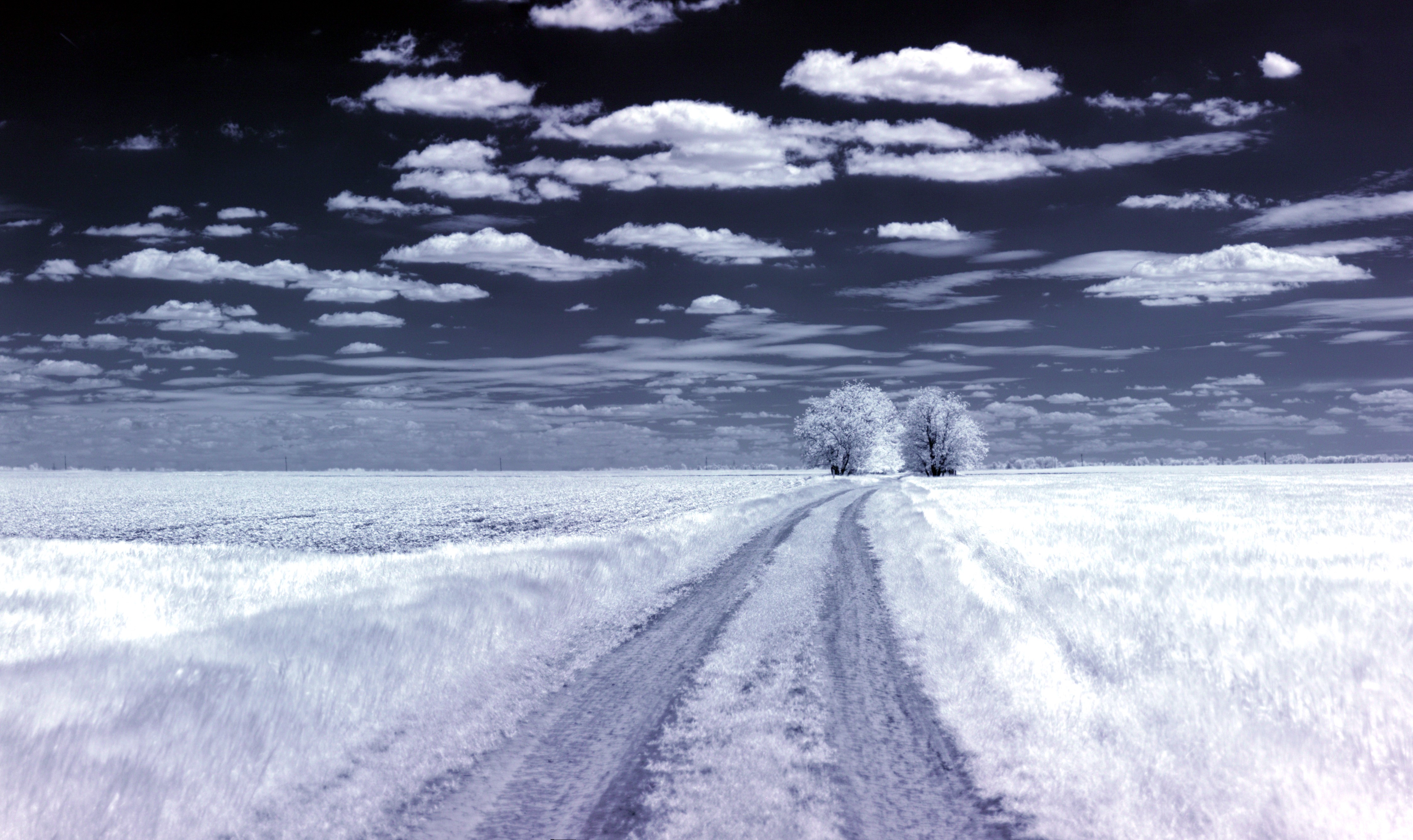 Infrared Trees Clouds Landscape Blue White Nature 4478x2663