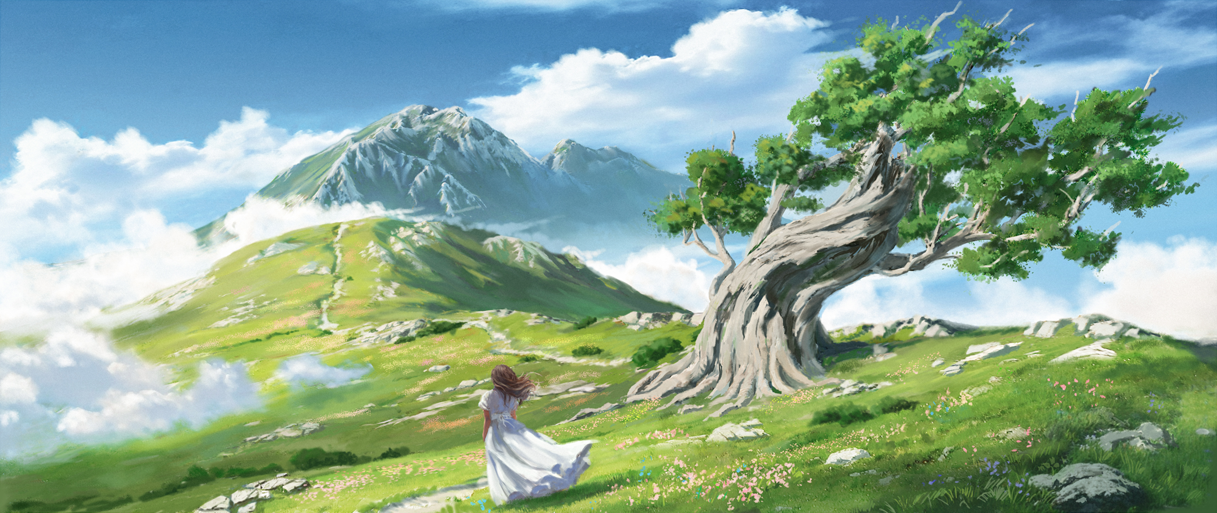 Mountains White Dress Nature Dress Grass Trees Clouds Sky Hair Blowing In The Wind Flowers Rocks Pat 2500x1055