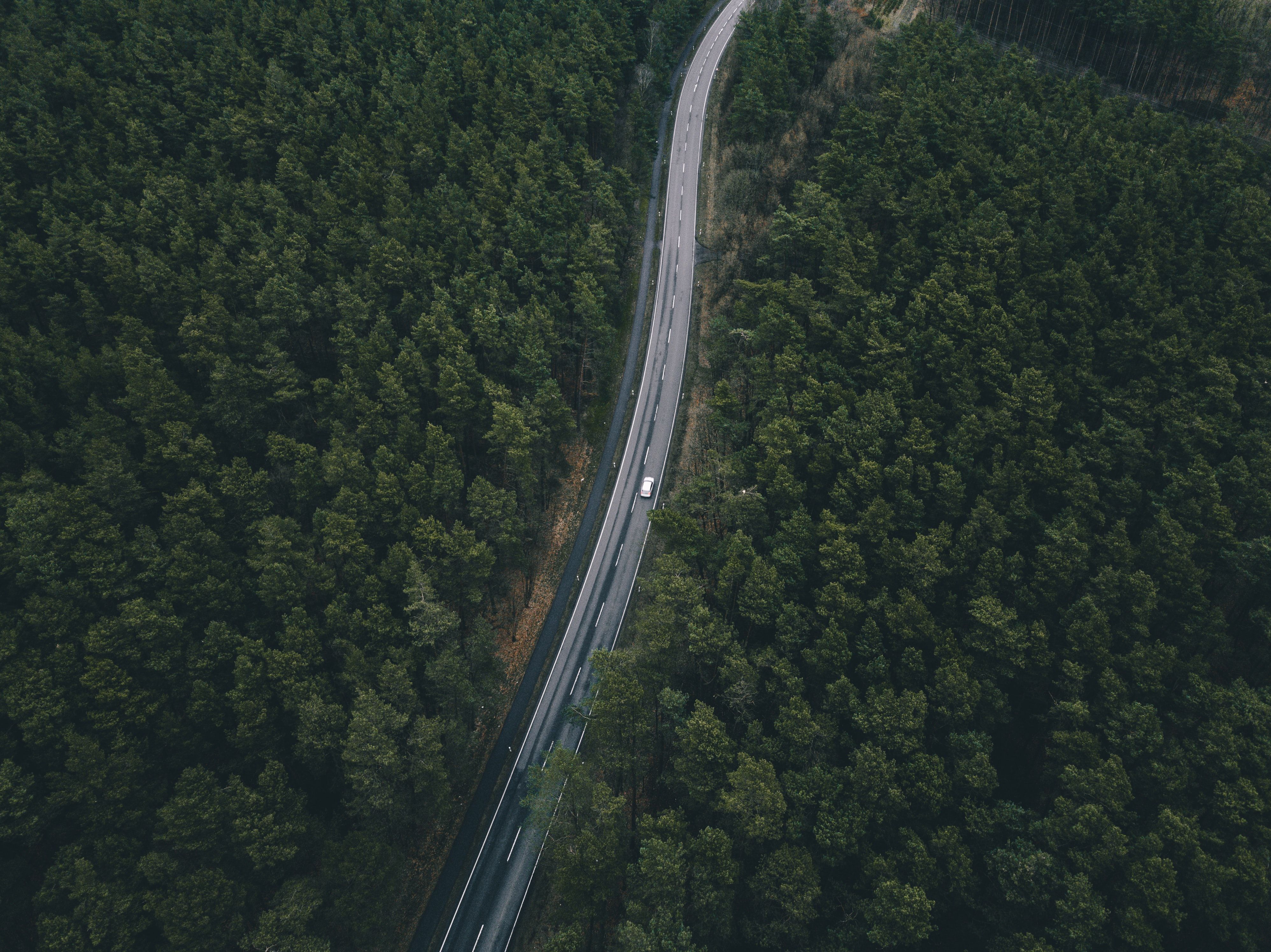Road Green Nature Landscape Aerial View 3992x2992