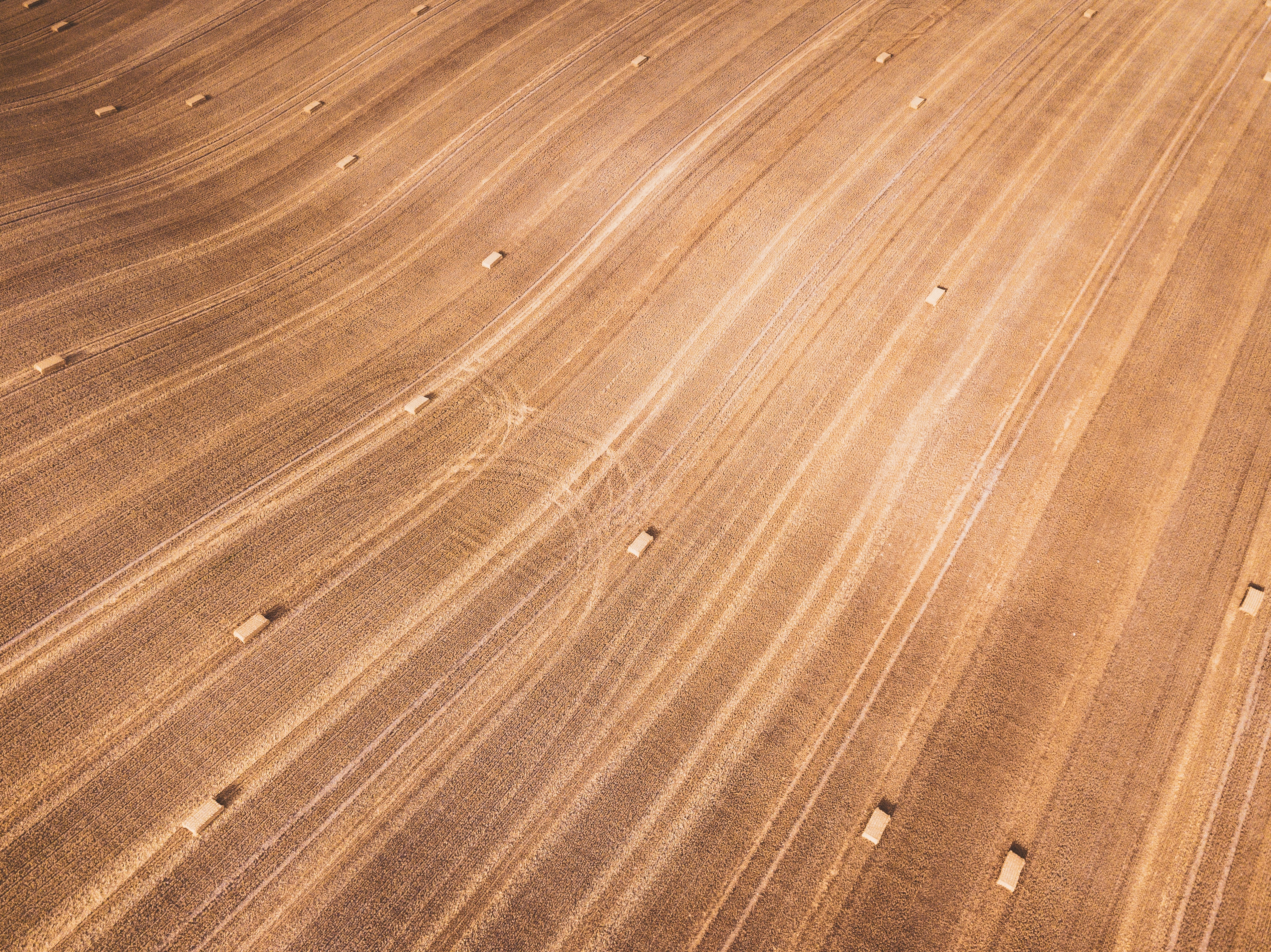 Wheat Field Tracks Farming Aerial View Simple Background Minimalism 3818x2862