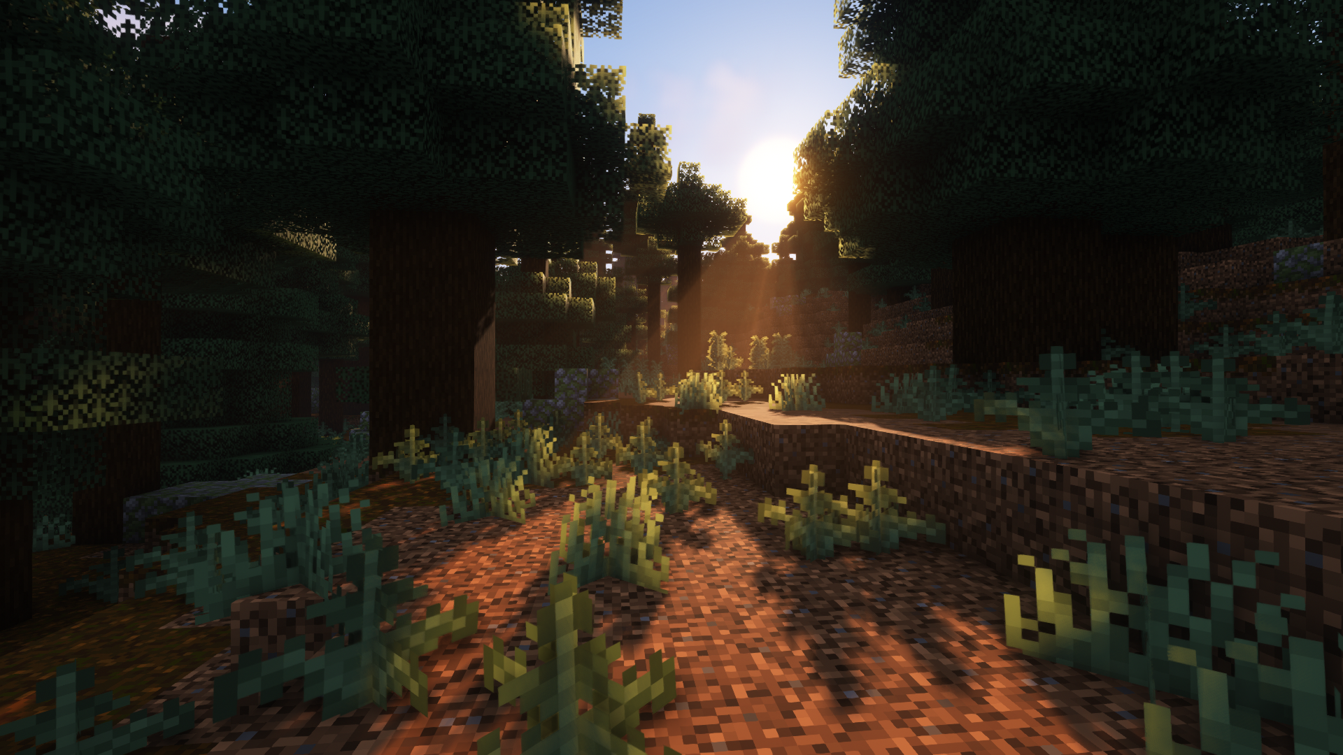 Minecraft Shaders Aestheticc Meme Video Games Forest Trees 1920x1080