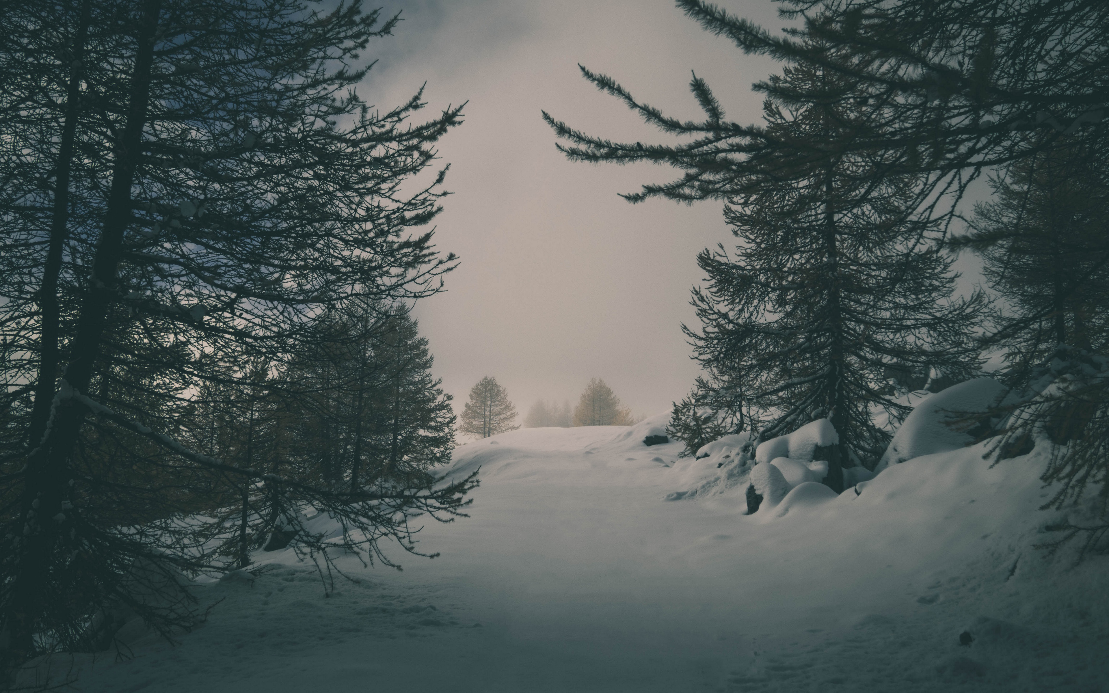 Winter Snow Forest Spruce Mist Cold Calm Photoshopped Nature 3840x2400