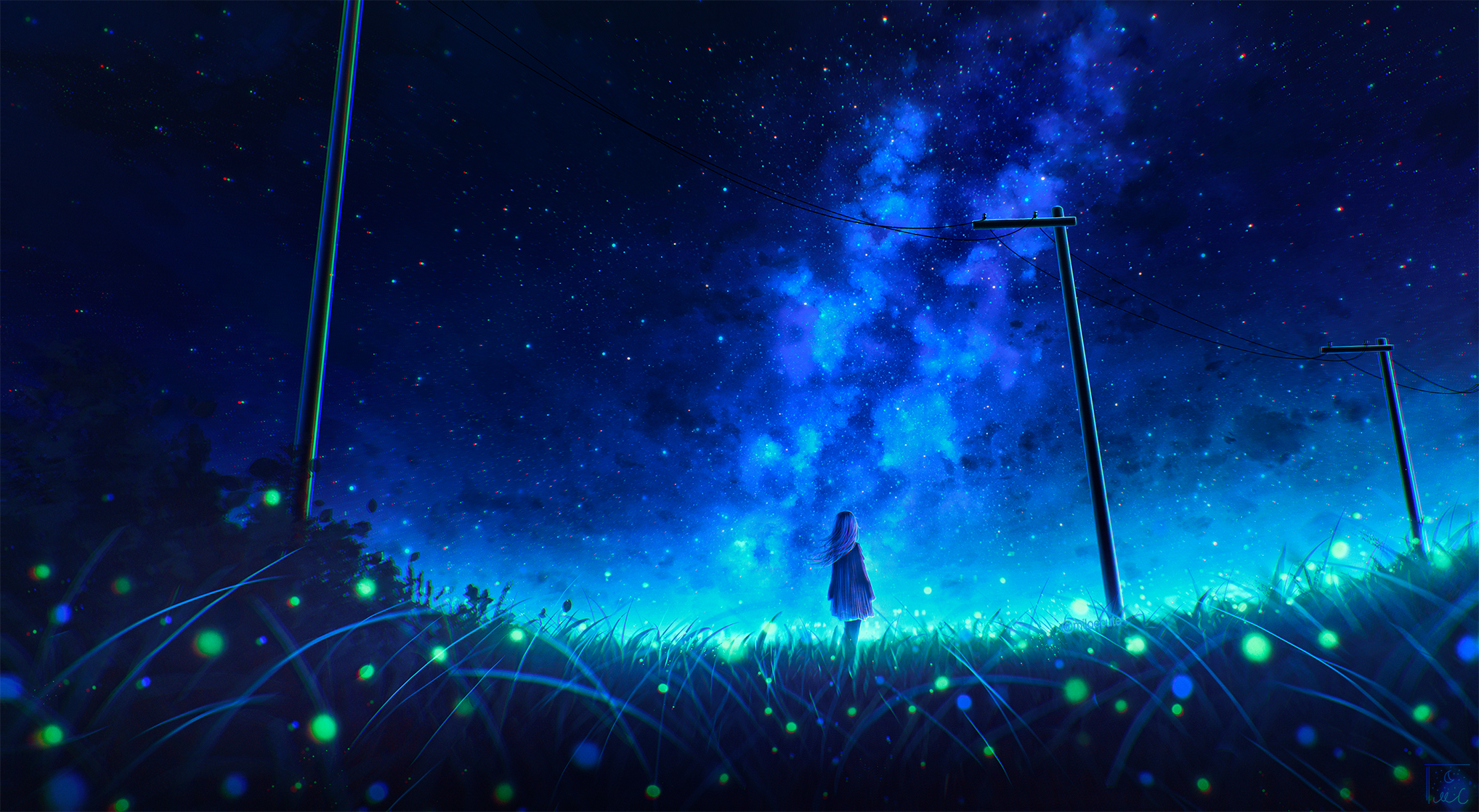 Sky Fireflies Starry Night Anime Girls Grass Night Looking Away 2036x1118