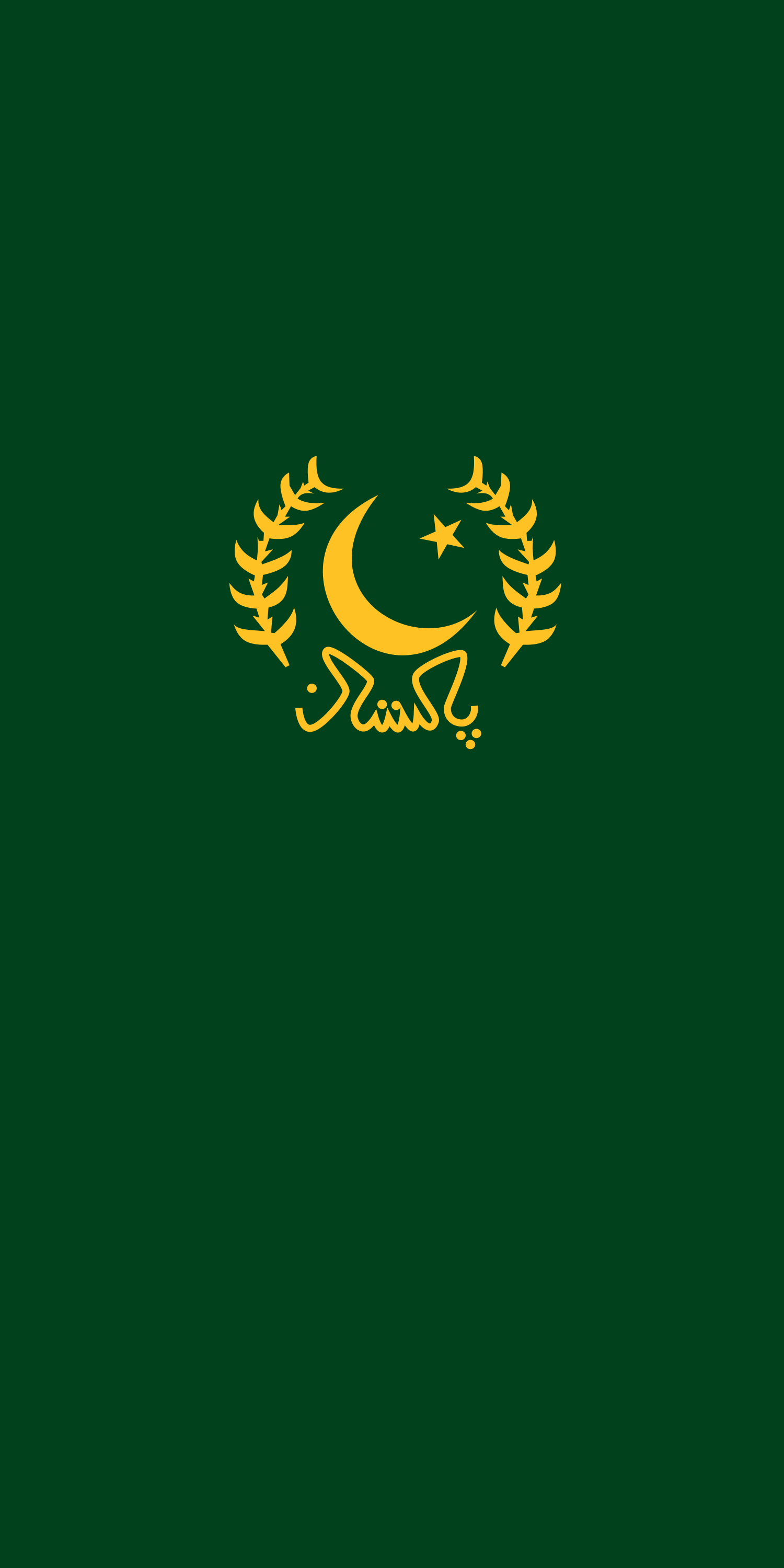 Pakistan Logo Simple Background Green Background Minimalism 1500x3000