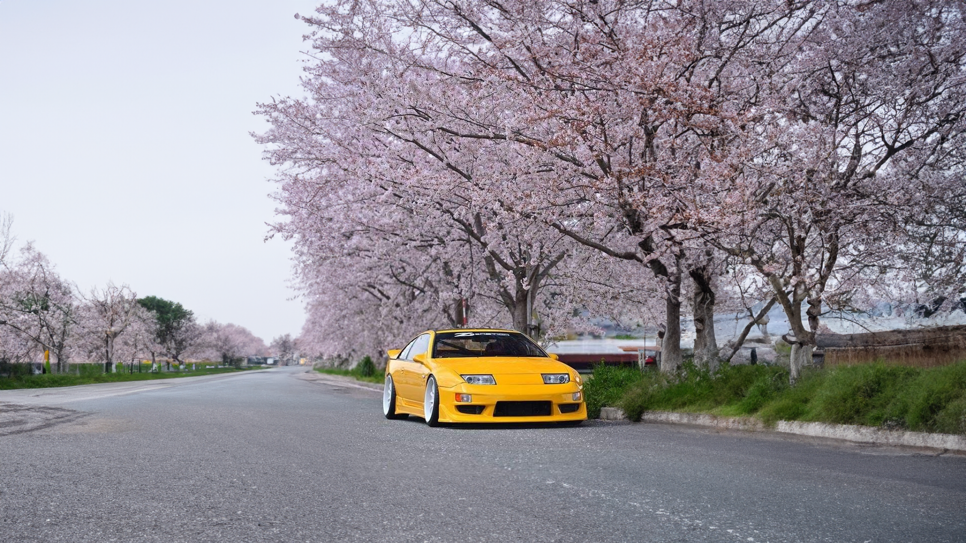 Yellow Cars Trees Road Nissan 300ZX Car Front Angle View Sky Clouds Cherry Trees 1920x1080