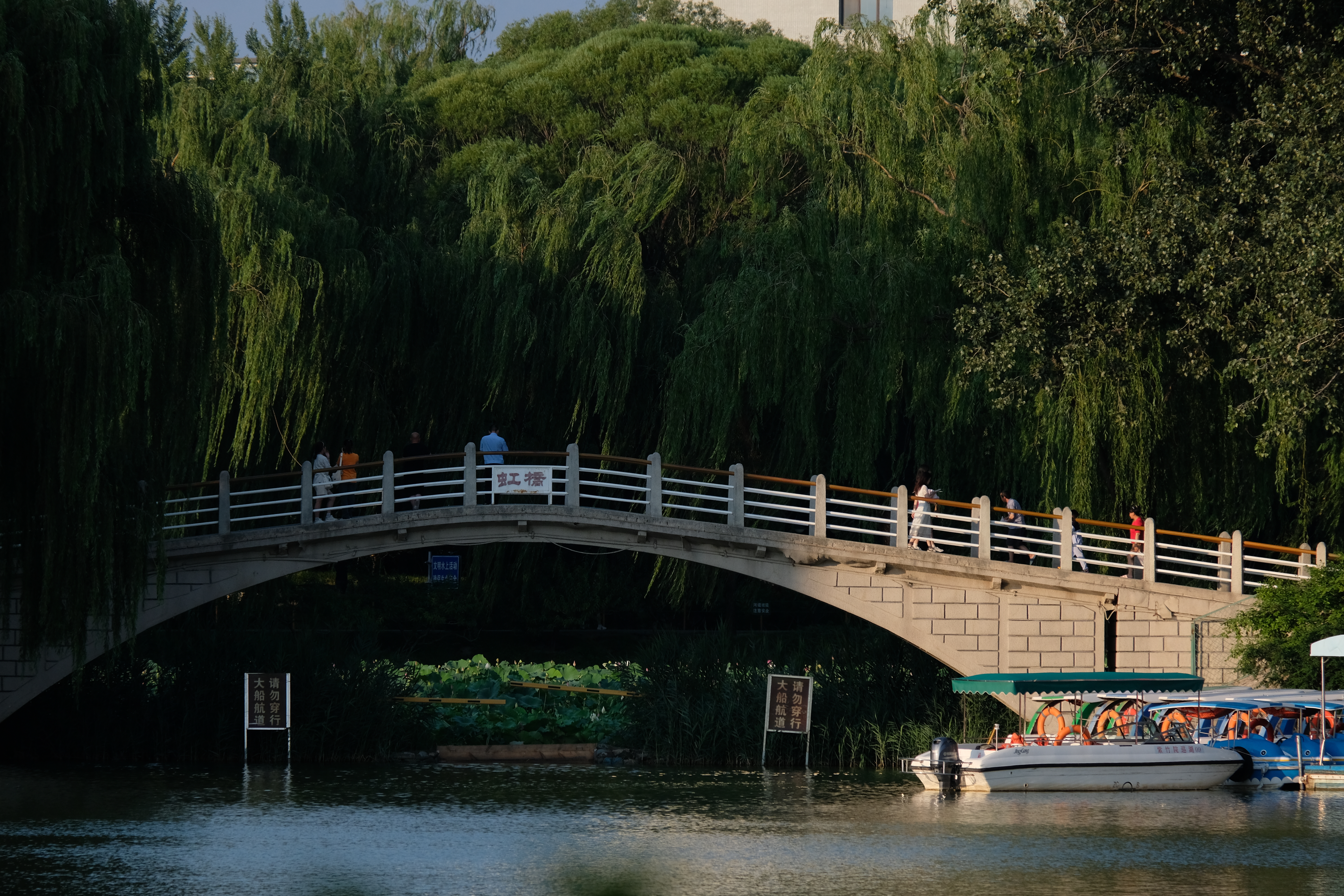 Beijing Rowboat Park Bridge Water Boat Reflection 6000x4000