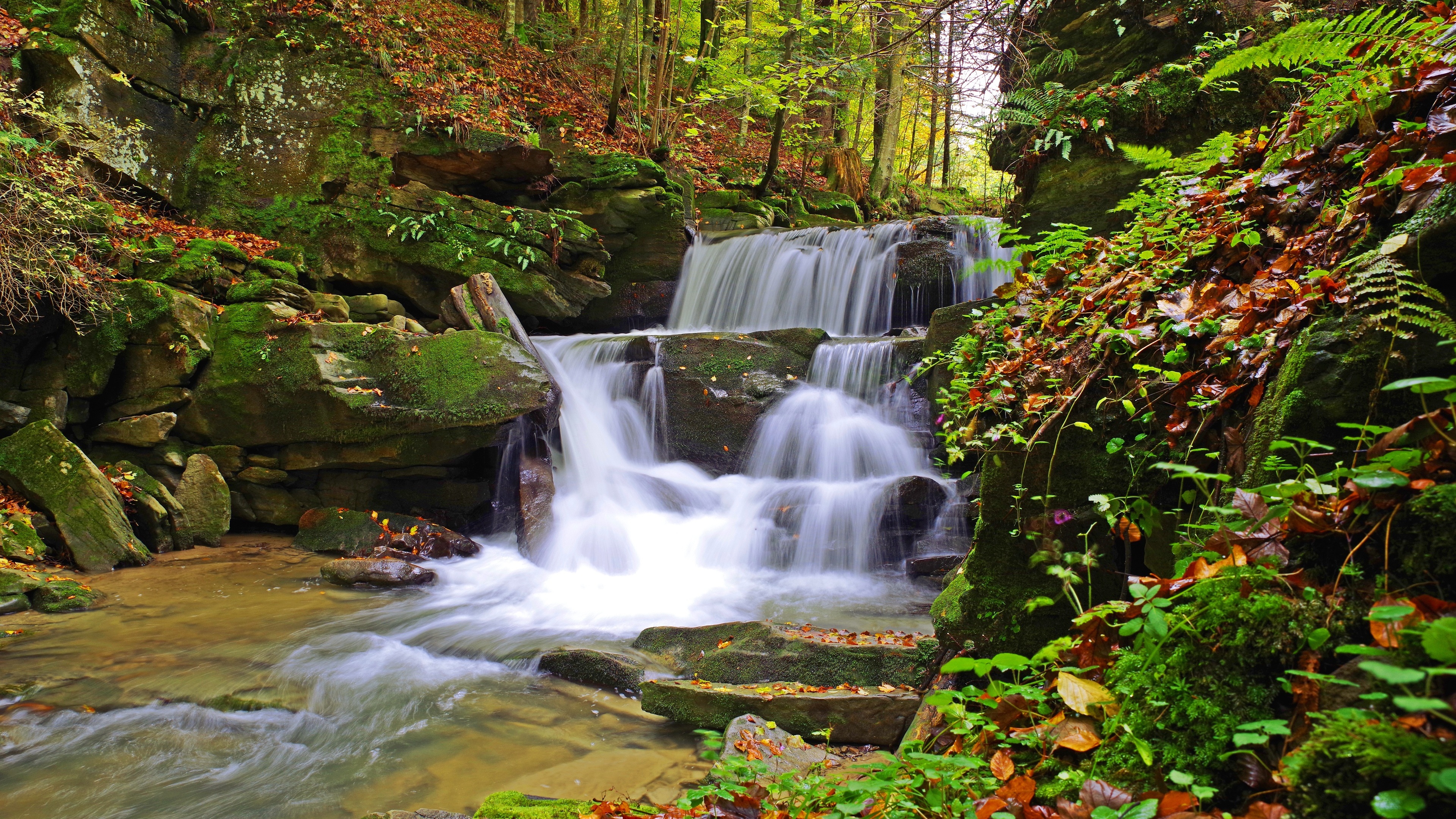 Poland Nature Moss Stones Forest Foliage Waterfall Still Life Rocks Leaves 3840x2160