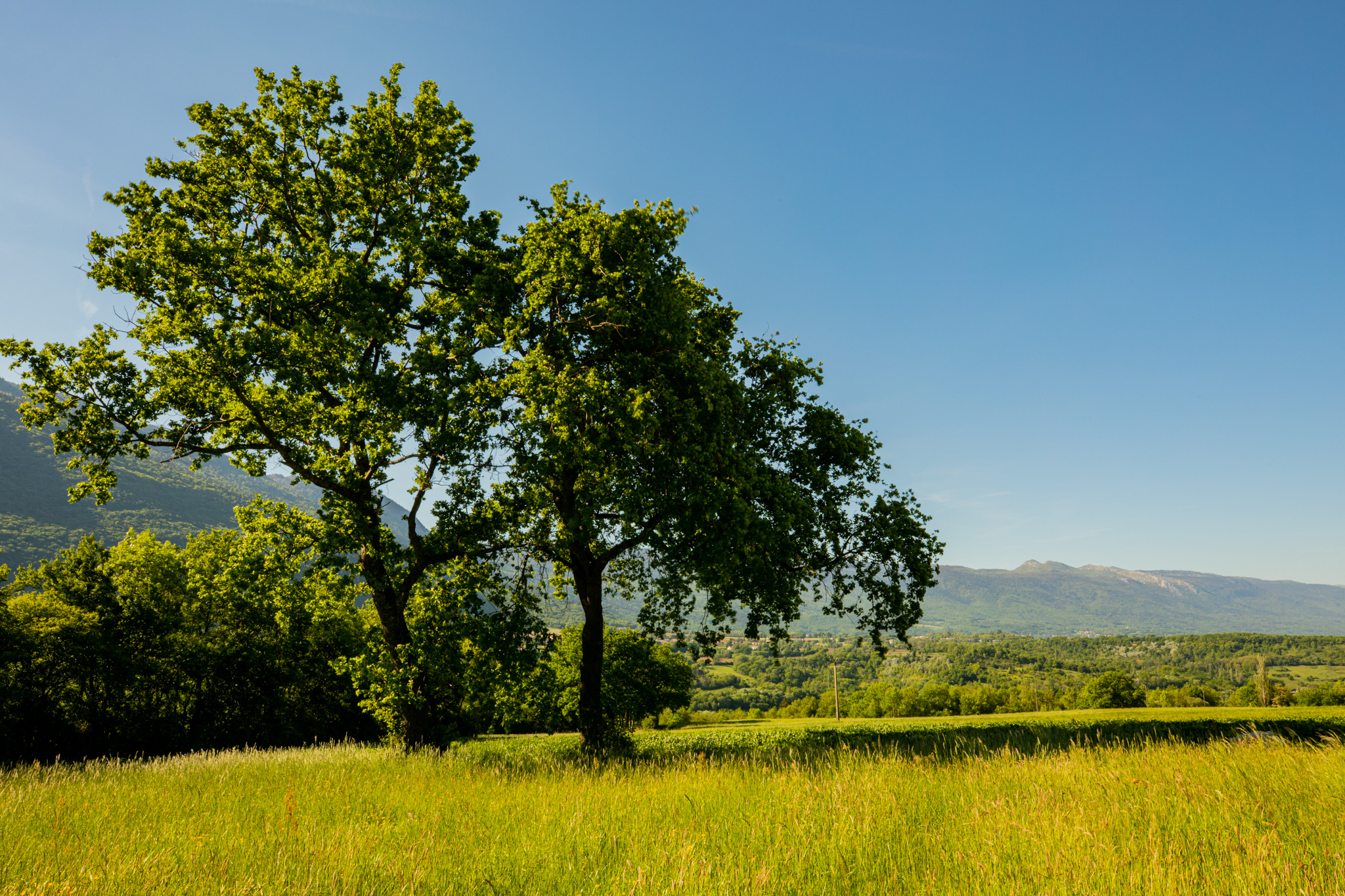 Photography Outdoors Nature Trees Forest Landscape Mountains Field Greenery Grass 2048x1365