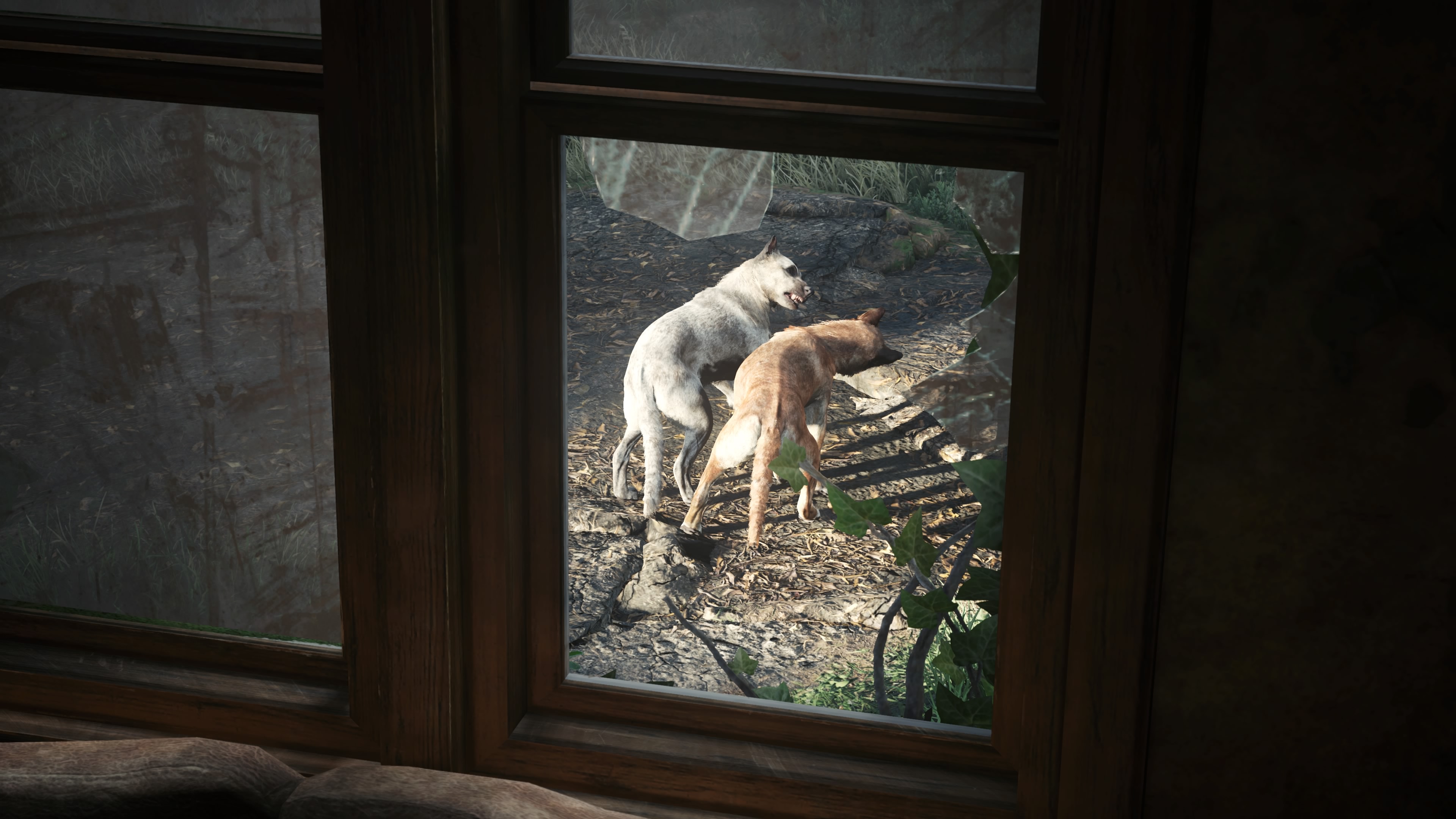 The Last Of Us Naughty Dog PlayStation Playstation 5 Dog Video Game Art Screen Shot Video Games CGi  3840x2160