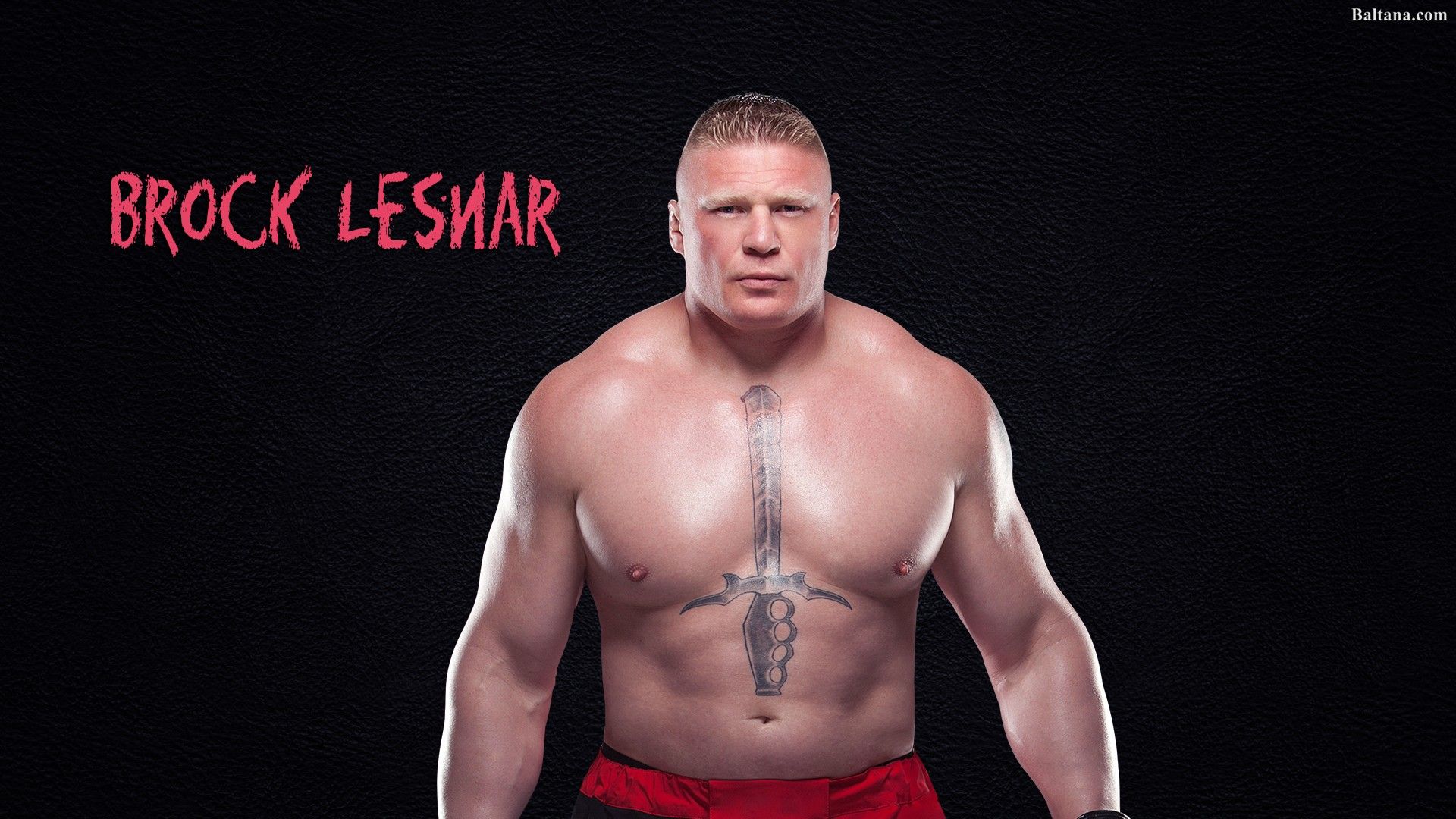 Brock Lesnar Wrestling WWE Men 1920x1080