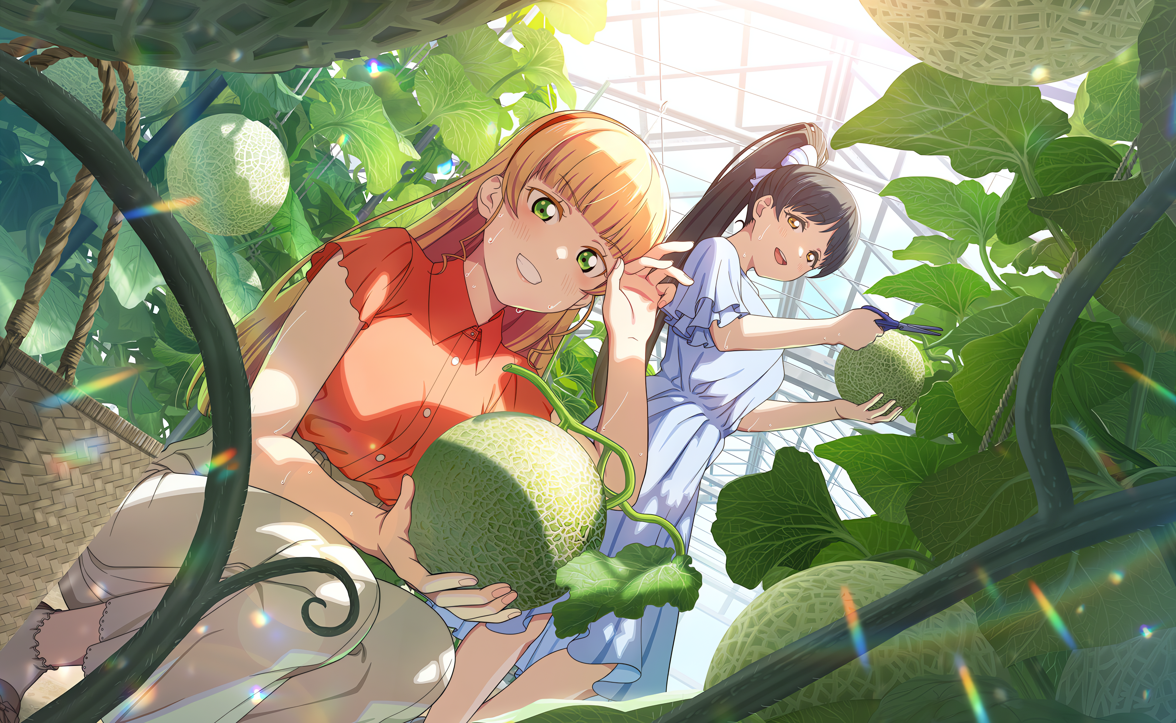 Love Live Super Star Love Live Heanna Sumire Hazuki Ren Love Live Plants Sunlight Anime Anime Girls  4096x2520