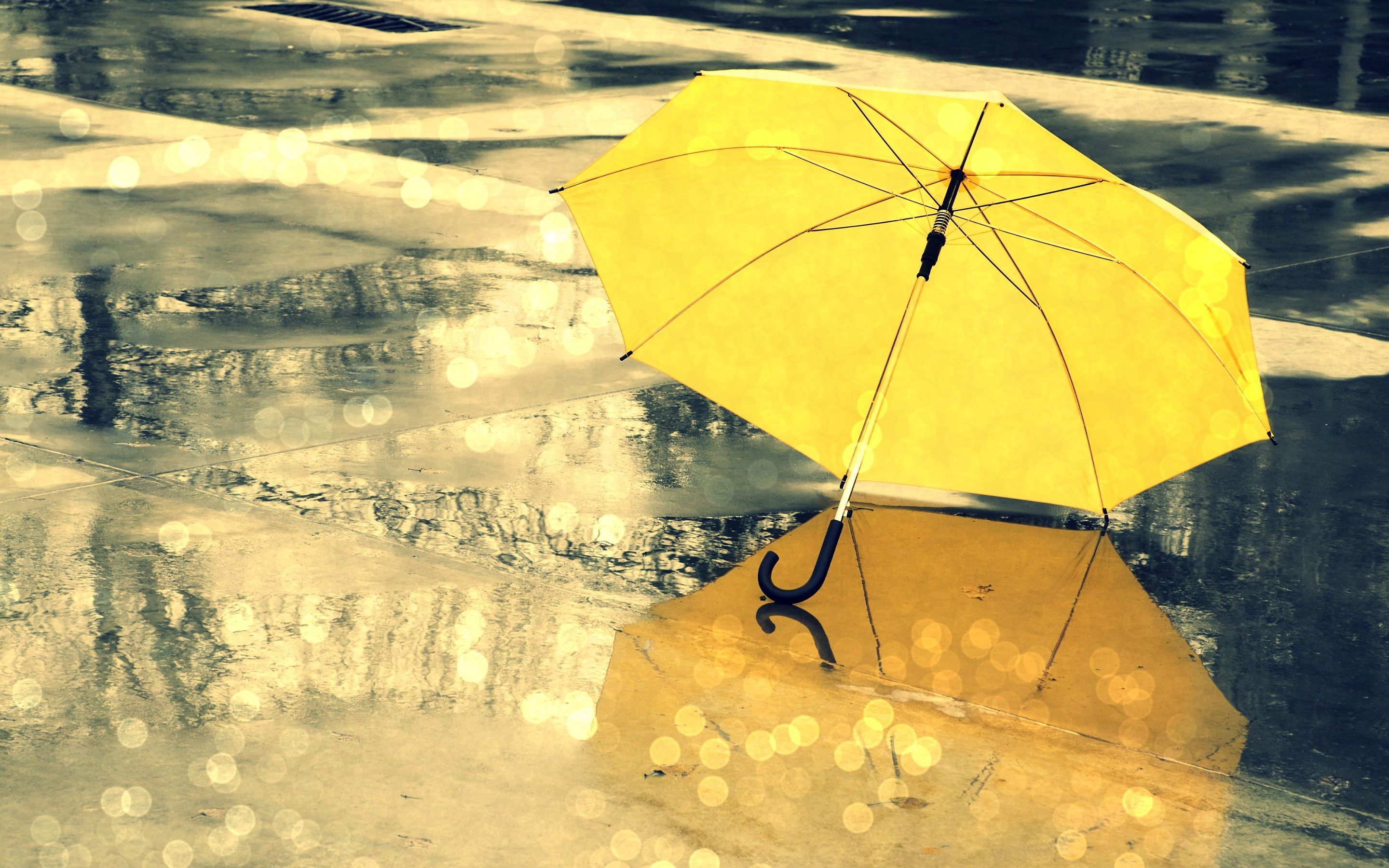 Umbrella Yellow Rain Wet Bokeh Street Reflection 2880x1800