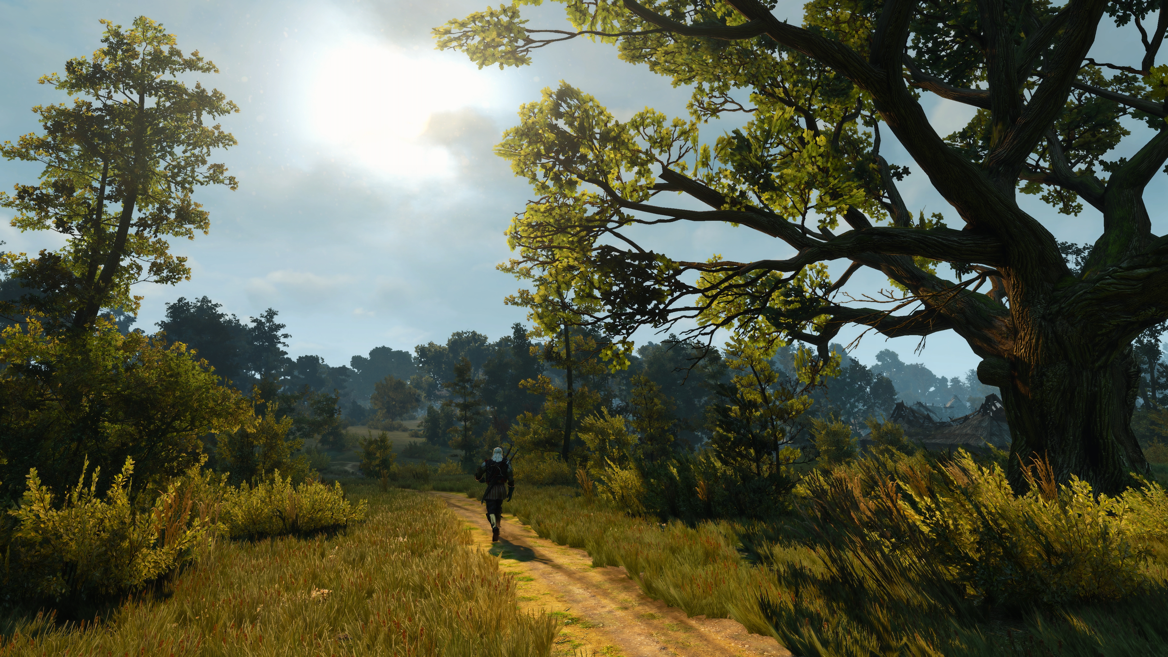 The Witcher 3 Wild Hunt PC Gaming Screen Shot Road Forest Trees 3840x2160