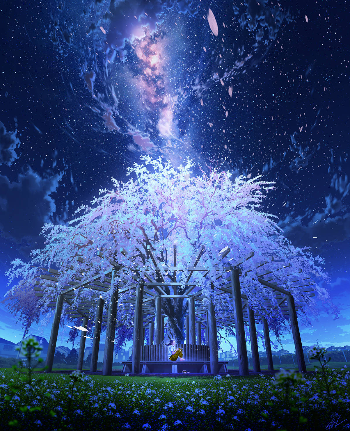 Mocha Cherry Blossom Anime Girls Vertical Sky Flowers Field Looking Up Starry Night Trees Stars Peta 1203x1482