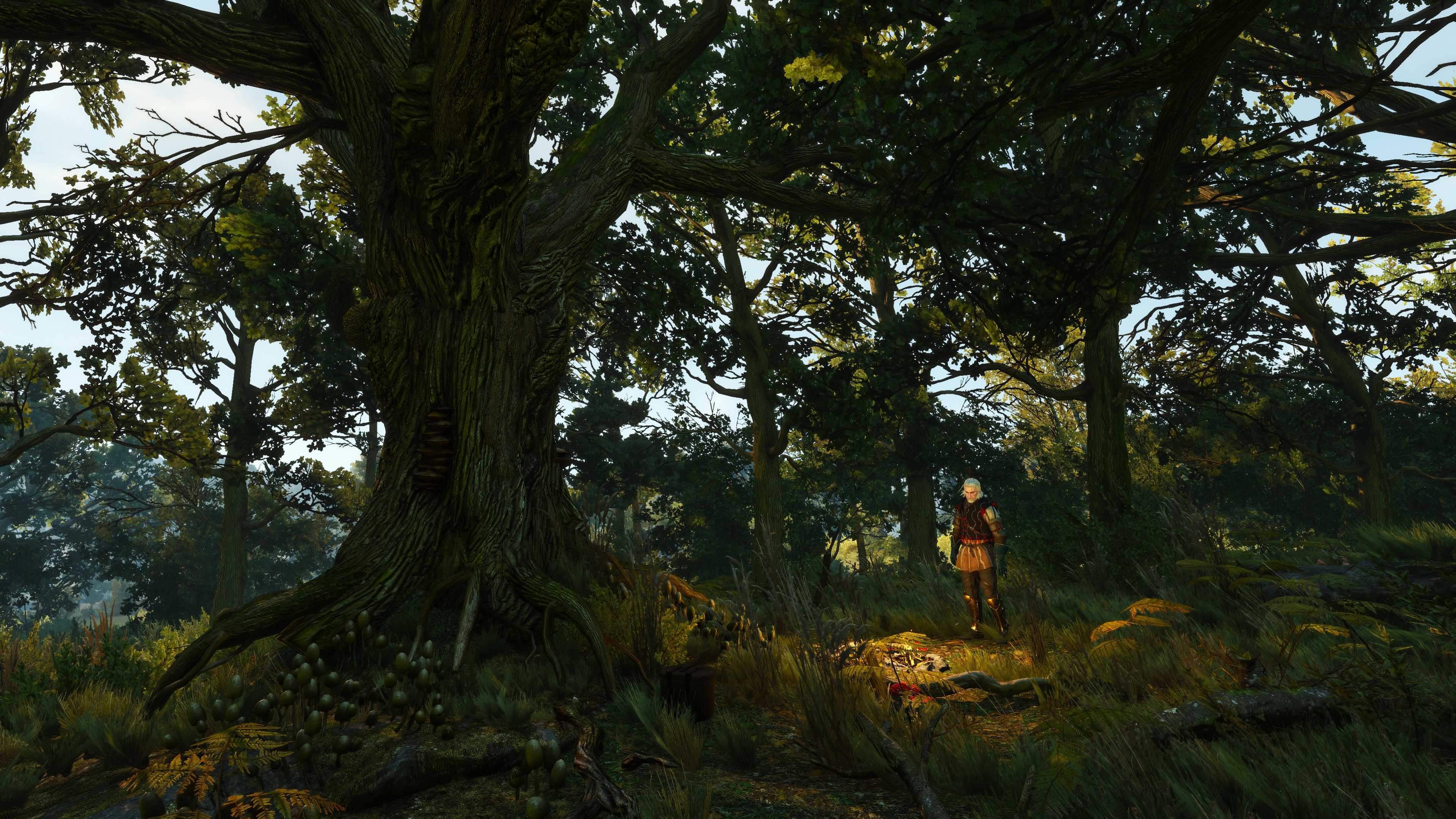 The Witcher 3 Wild Hunt PC Gaming Screen Shot Forest Geralt Of Rivia 3840x2160