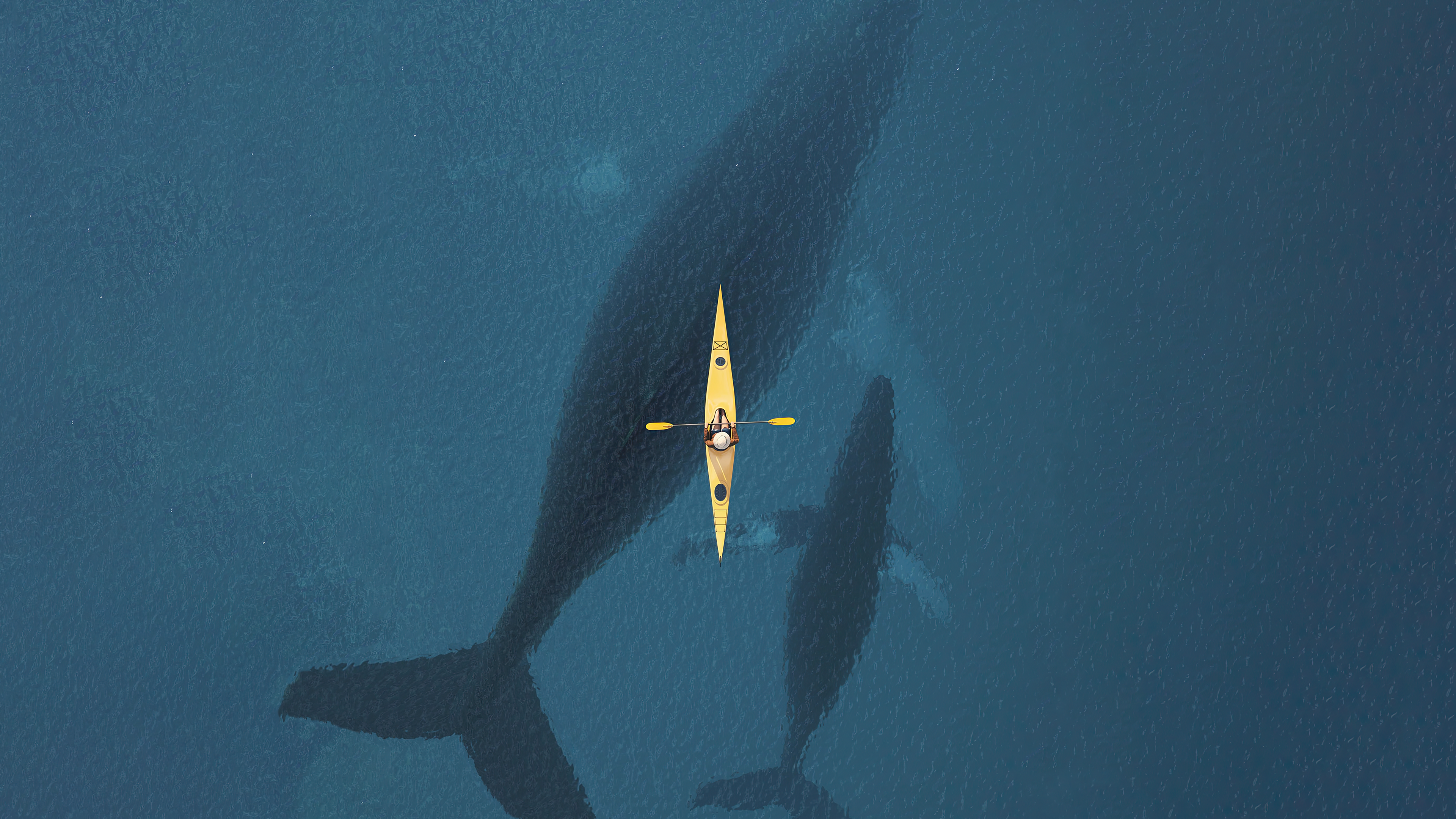 Water Nature Whale Boat Fish Sailing Minimalism Simple Background Kayaks 3840x2160