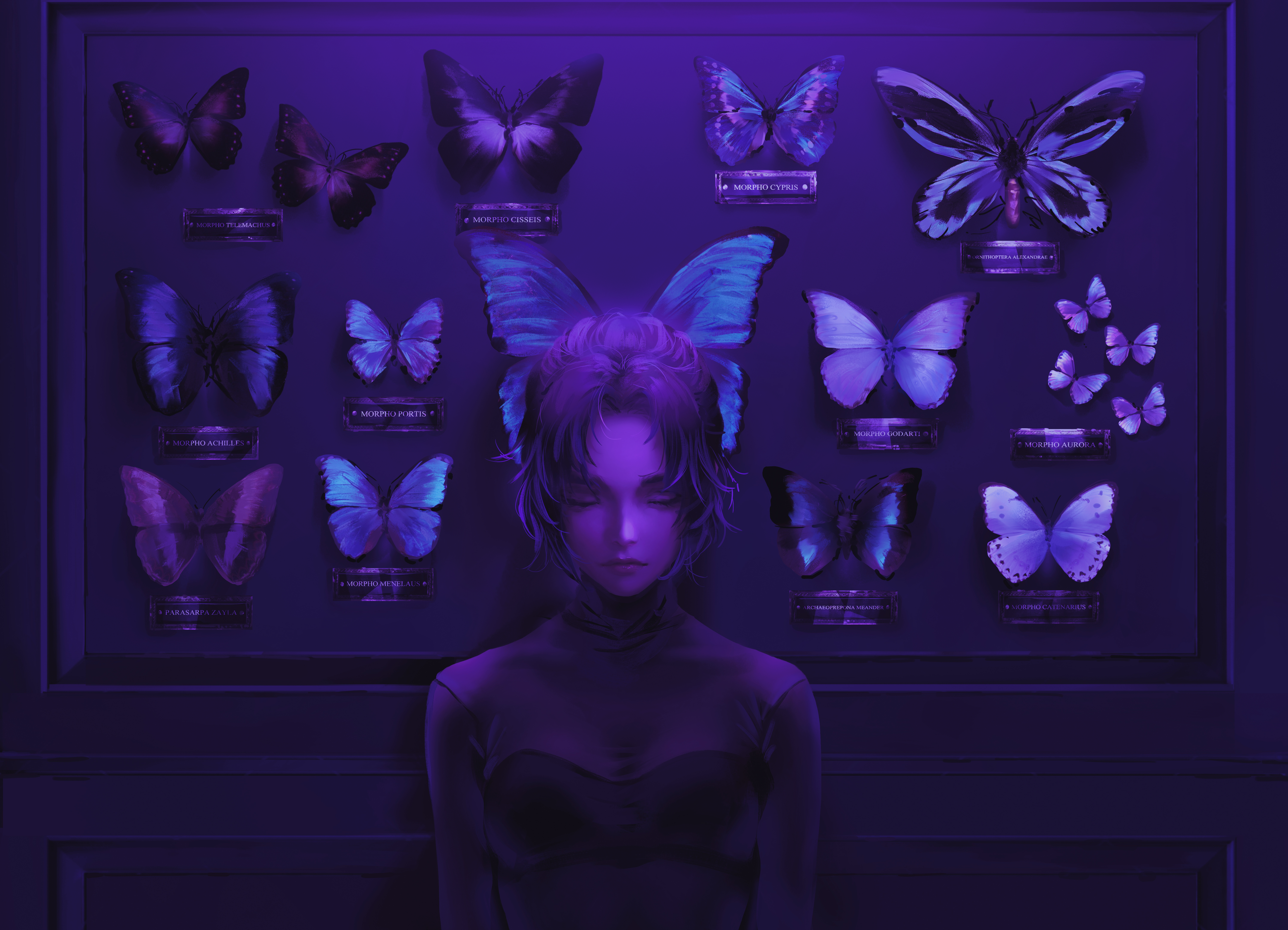 Nixeu Digital Art Artwork Illustration Women Butterfly Purple Light Closed Eyes Collections Insect K 6000x4333