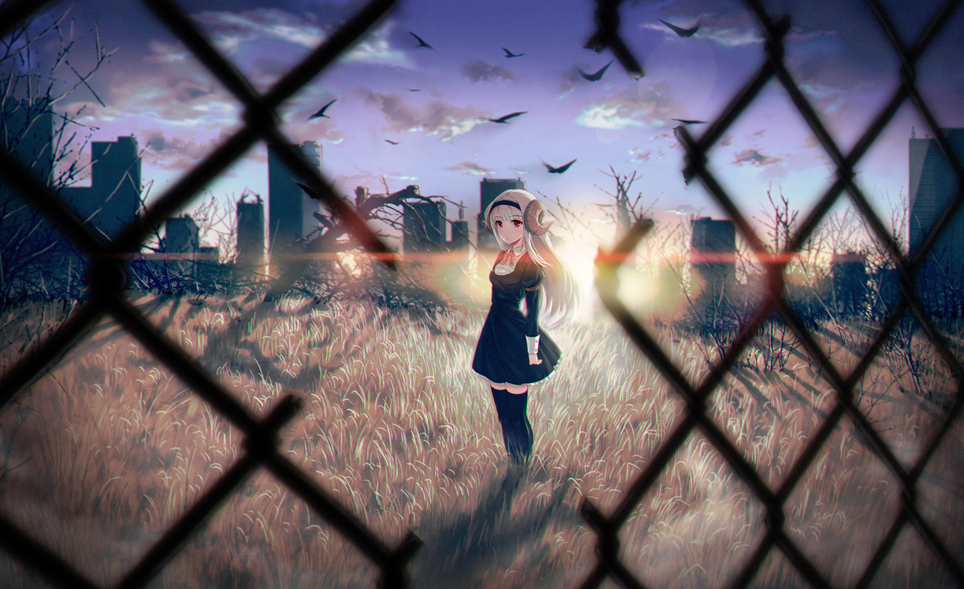 Anime Anime Girls Original Characters Birds Horns Red Eyes Grass Clouds Sunset Glow 1920x1173