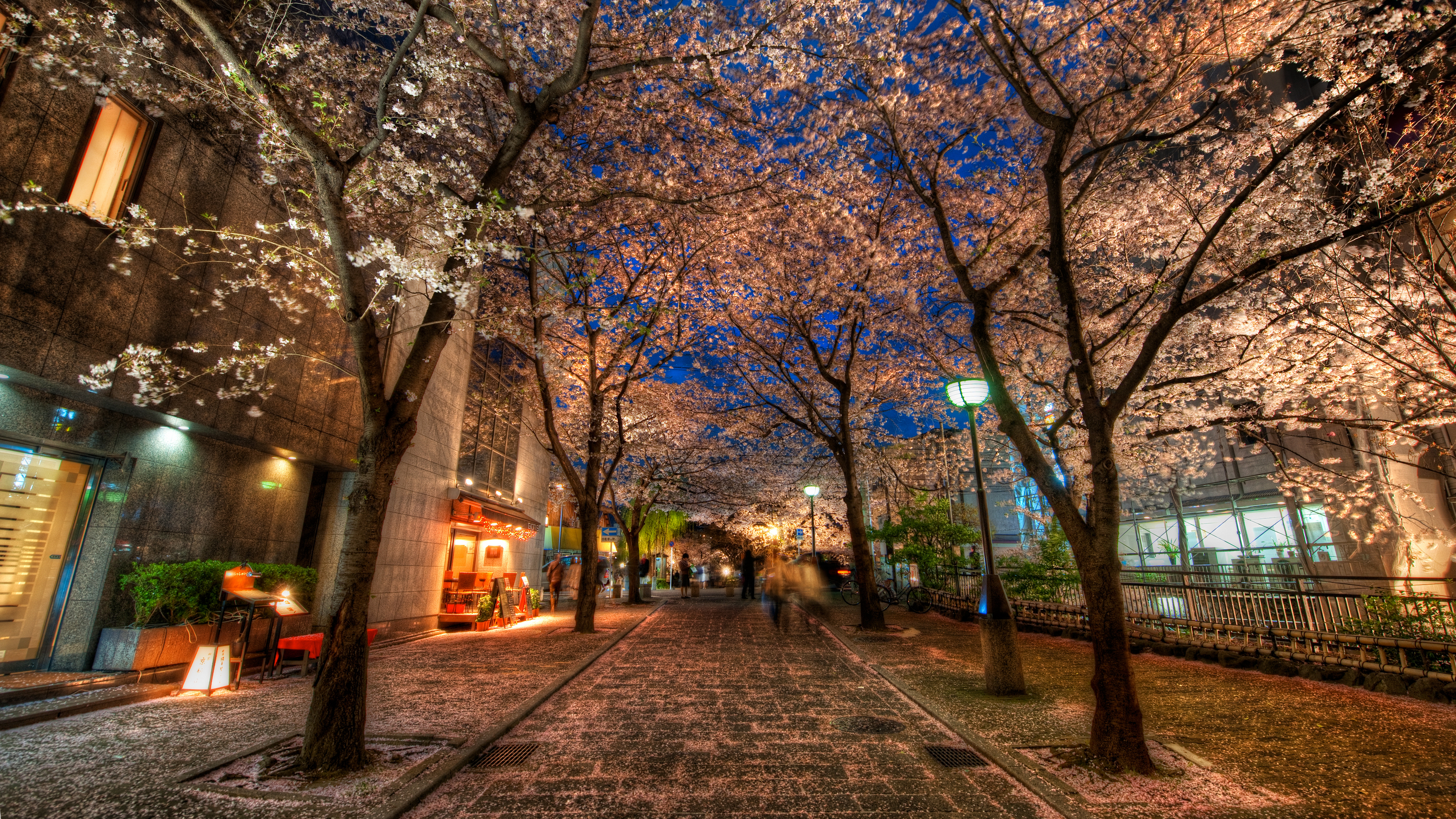 Trey Ratcliff Photography Asia Japan Kyoto Street Trees Street Light 3840x2160
