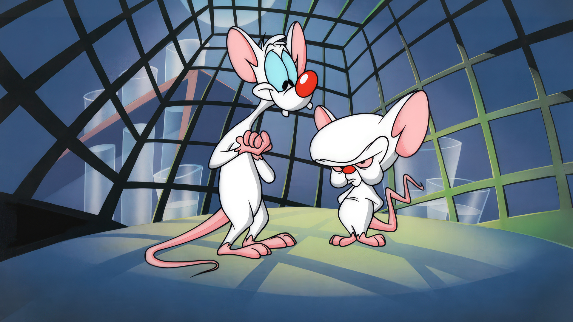 Pinky And The Brain Animation Animated Series Cartoon Mouse Animal Laboratories Cages Warner Brother 1920x1080