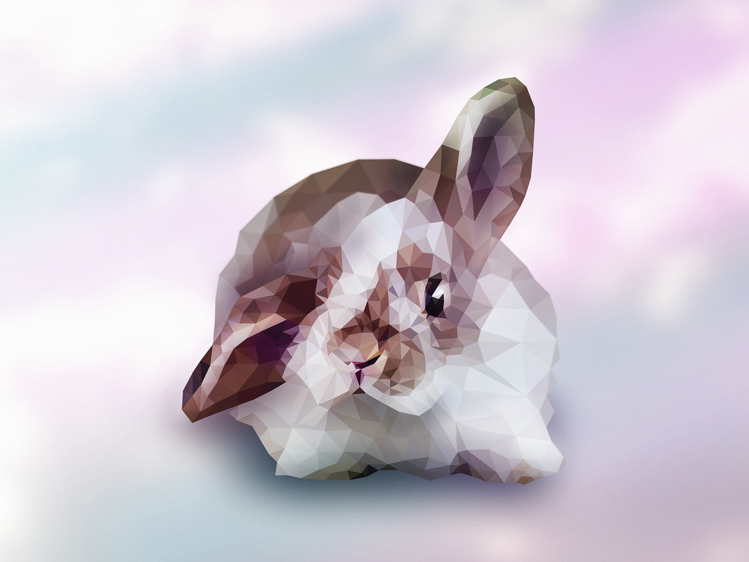 Rabbits Animals Low Poly Digital Art 2560x1920